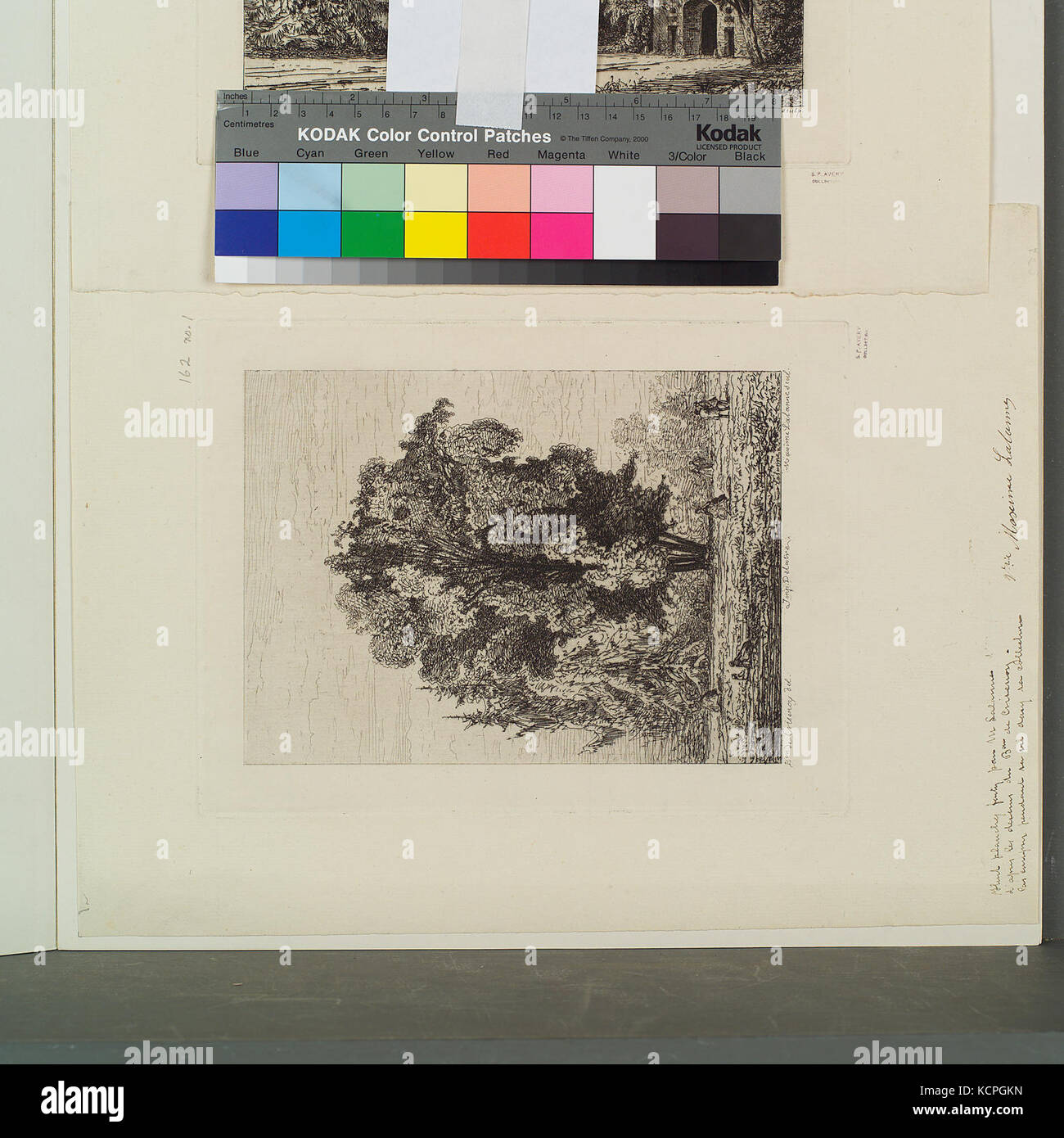 Le figure sotto un grande albero (NYPL B14945260 prn ps cd8 120) Foto Stock