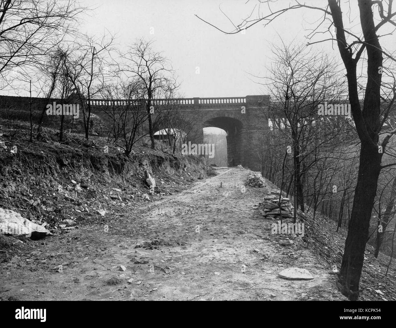 Percorso briglia di Panther cava (715.08704.CP) Foto Stock