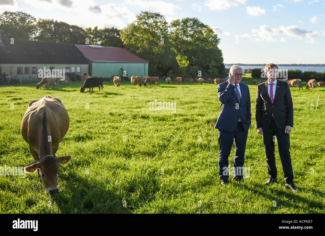 Lindhof, Germania. 6 ottobre 2017. Il presidente tedesco Frank-Walter Steinmeier (L) e il Premier dello Schleswig-Holstein, Daniel Gunther, in piedi su un campo erboso della fattoria sperimentale Lindhof dell'Università di Kiel a Lindhof, Germania, il 6 ottobre 2017. Il Presidente Steinmeier ha concluso la sua visita inaugurale di due giorni nello stato dello Schleswig-Holstein. Credito: Axel Heimken/dpa/Alamy Live News Foto Stock