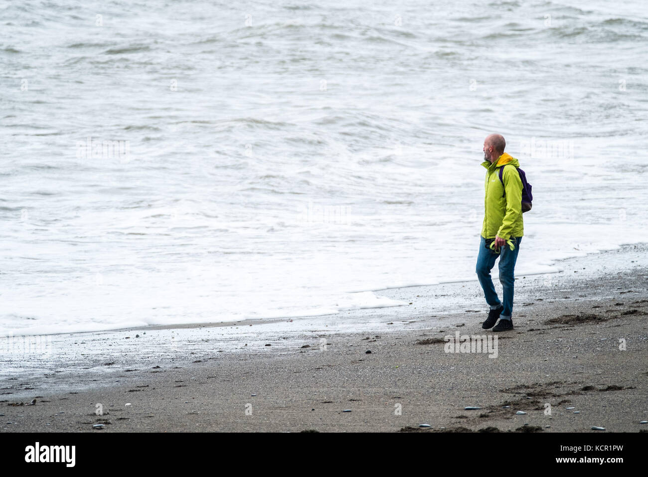 Aberystwyth Wales UK, sabato 07 ottobre 2017 uk meteo ma nwatching onde come egli cammina lungo la spiaggia su una torbida e breezy pomeriggio autunnale in aberystwyth wales Photo credit: keith morris/alamy live news Foto Stock