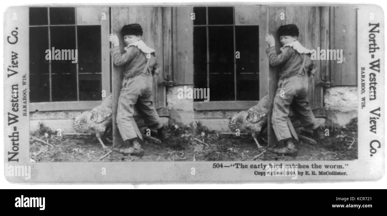 Early Bird stereografia Foto Stock