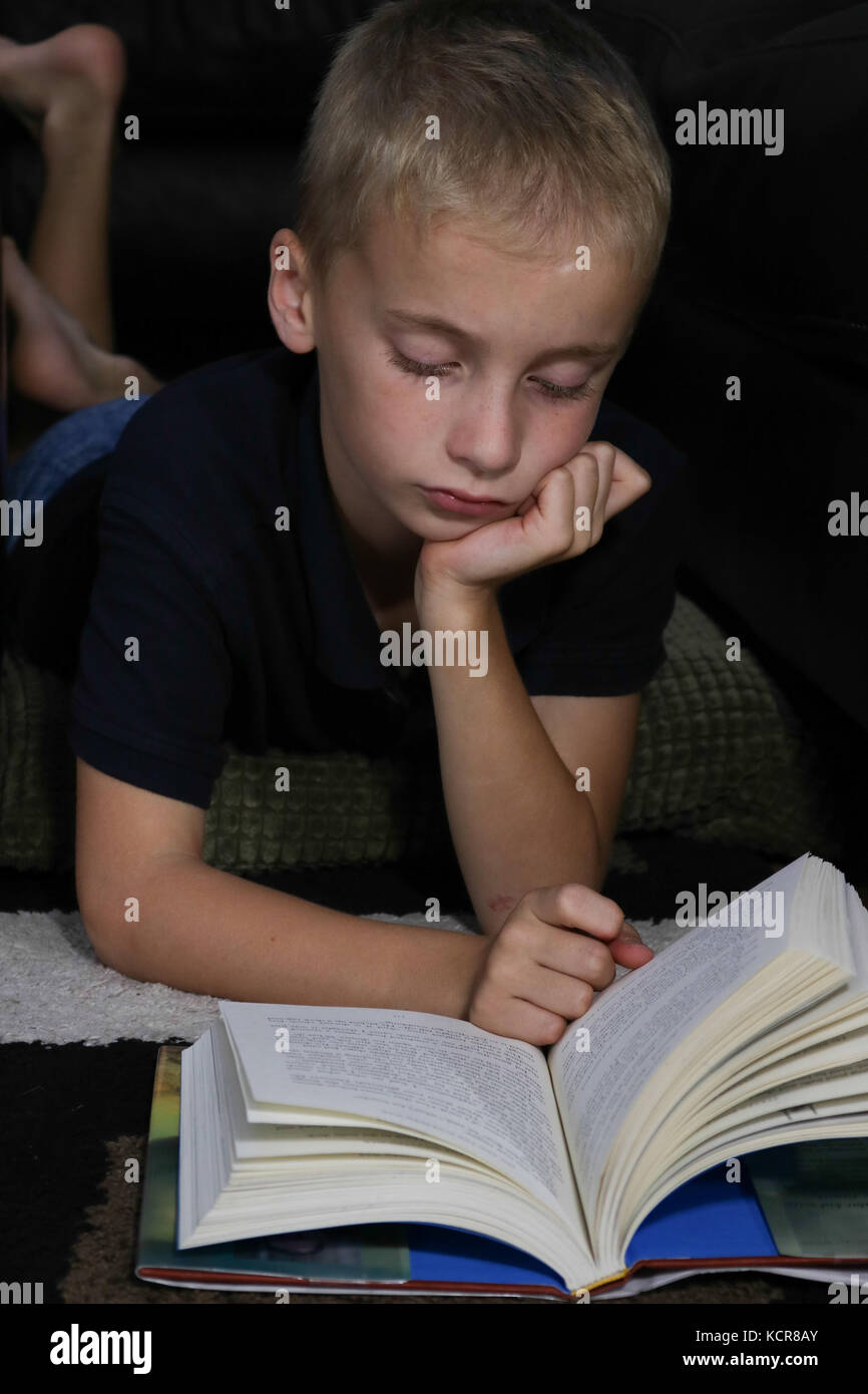 Ragazzo giovane la lettura di un libro Foto Stock