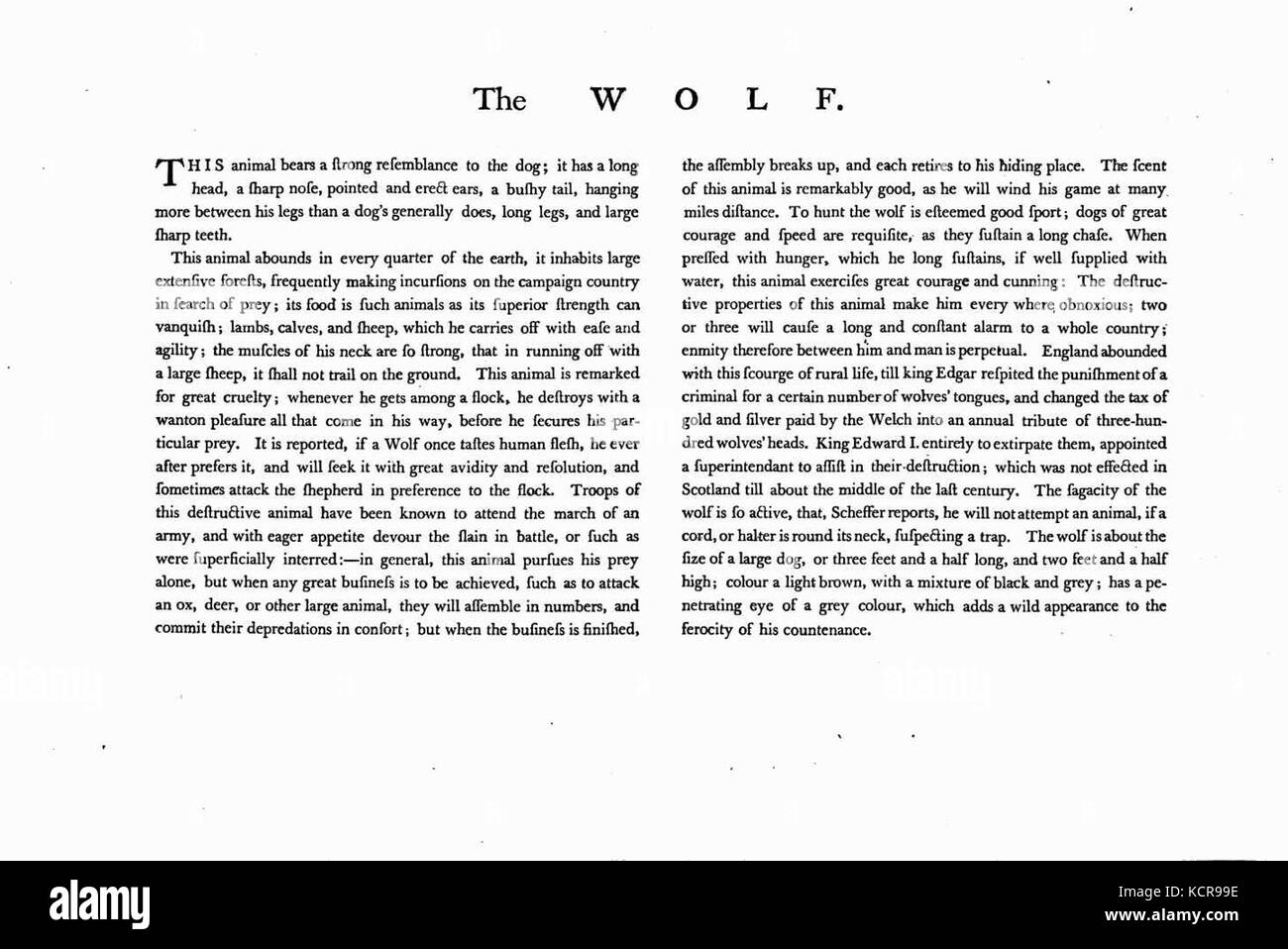 Charles Catton, animali (1788) Pagina39 Image1 Foto Stock