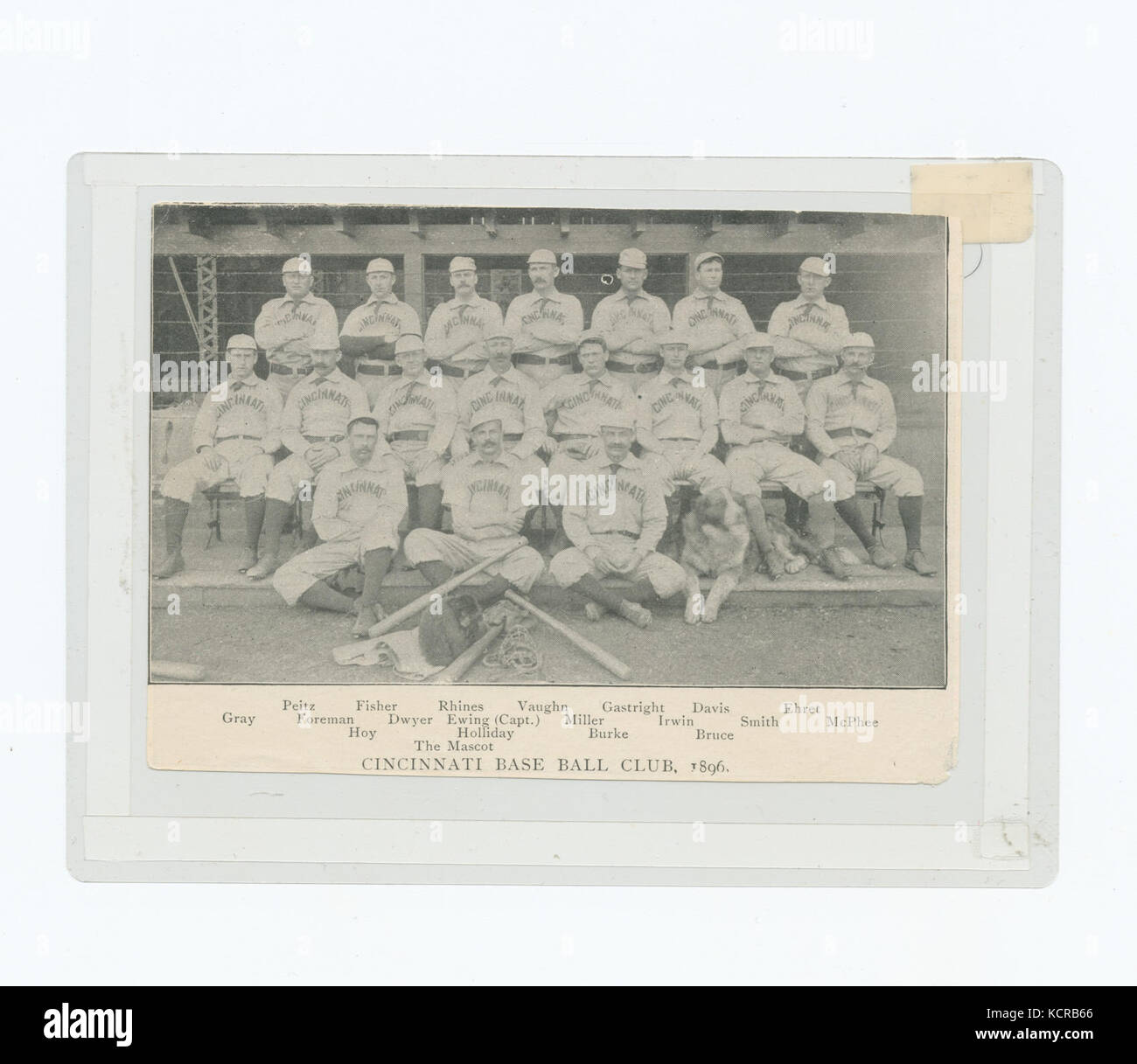 Base di Boston club di ballo, 1896; Cincinnati Base Ball Club, 1896 (NYPL B13537024 56391) Foto Stock