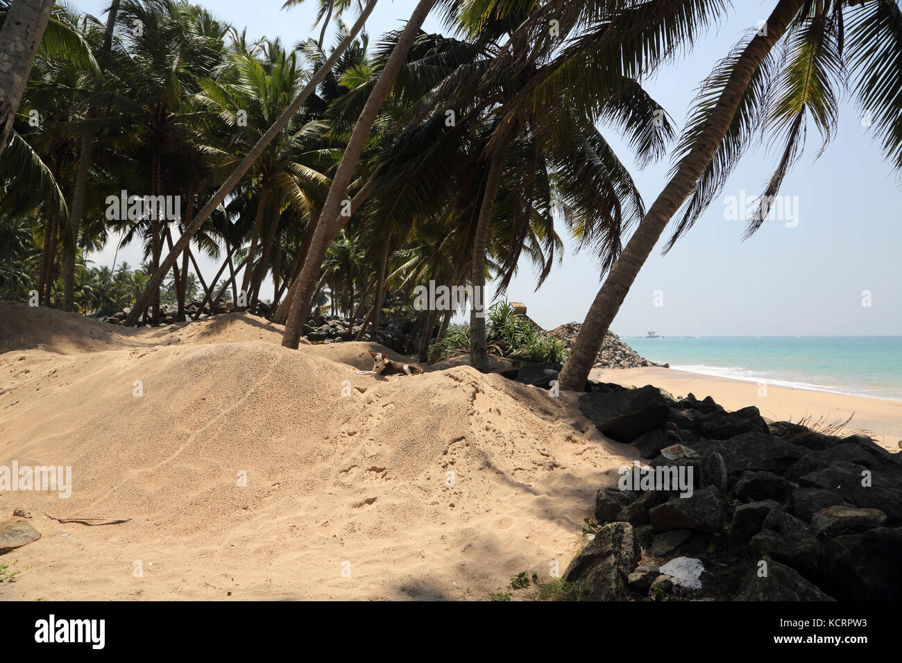 Hikkaduwa della provincia meridionale dello Sri Lanka la costruzione di difese del mare Foto Stock