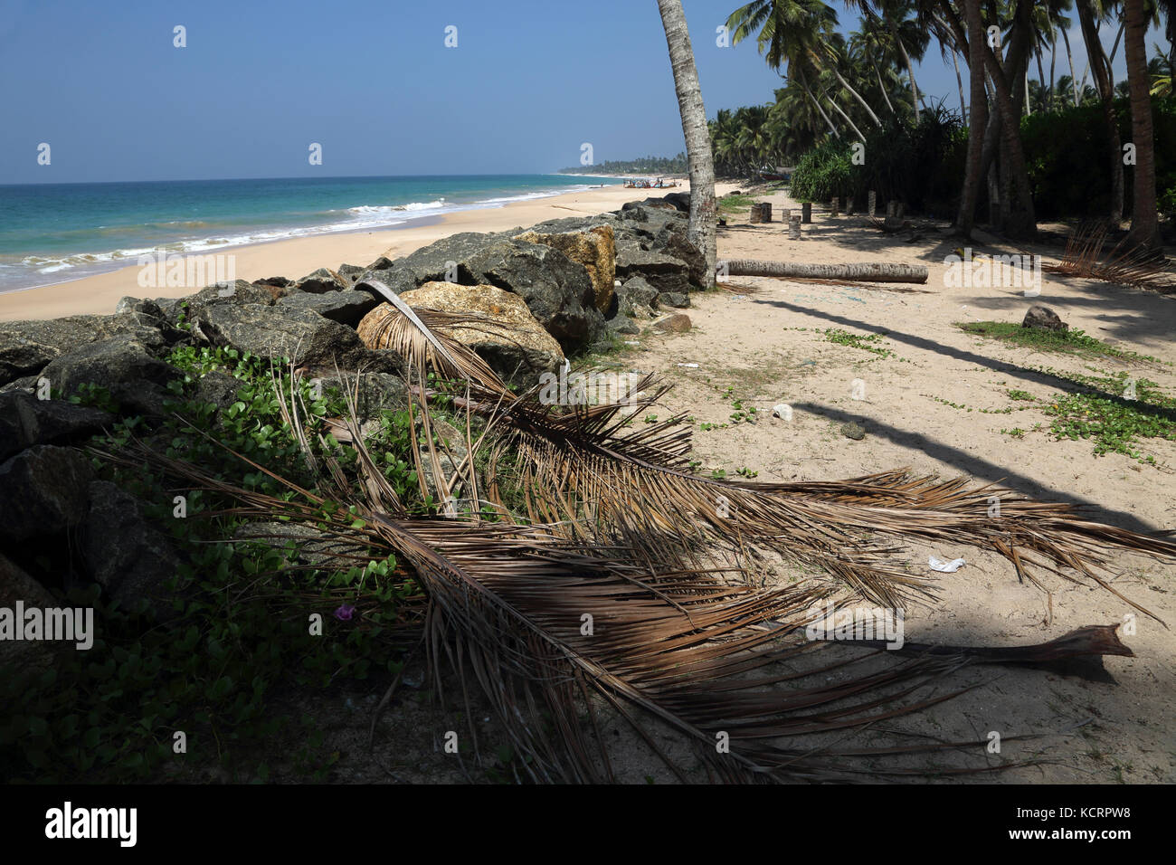 Hikkaduwa della provincia meridionale dello Sri Lanka le difese del mare Foto Stock