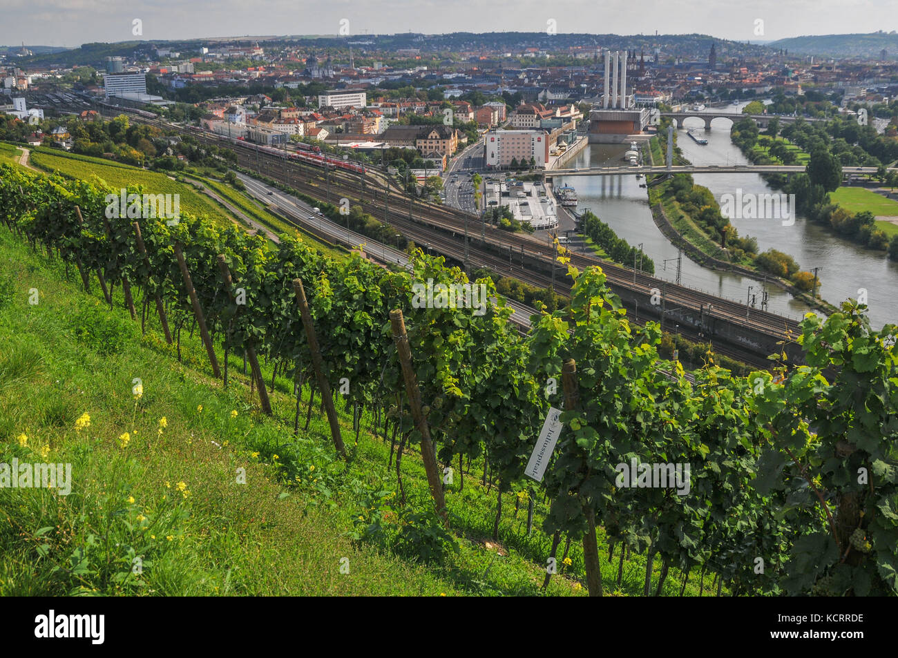 Settore vitivinicolo tedesco: Würzburger Stein, Würzburg, Franconia, Germania Foto Stock