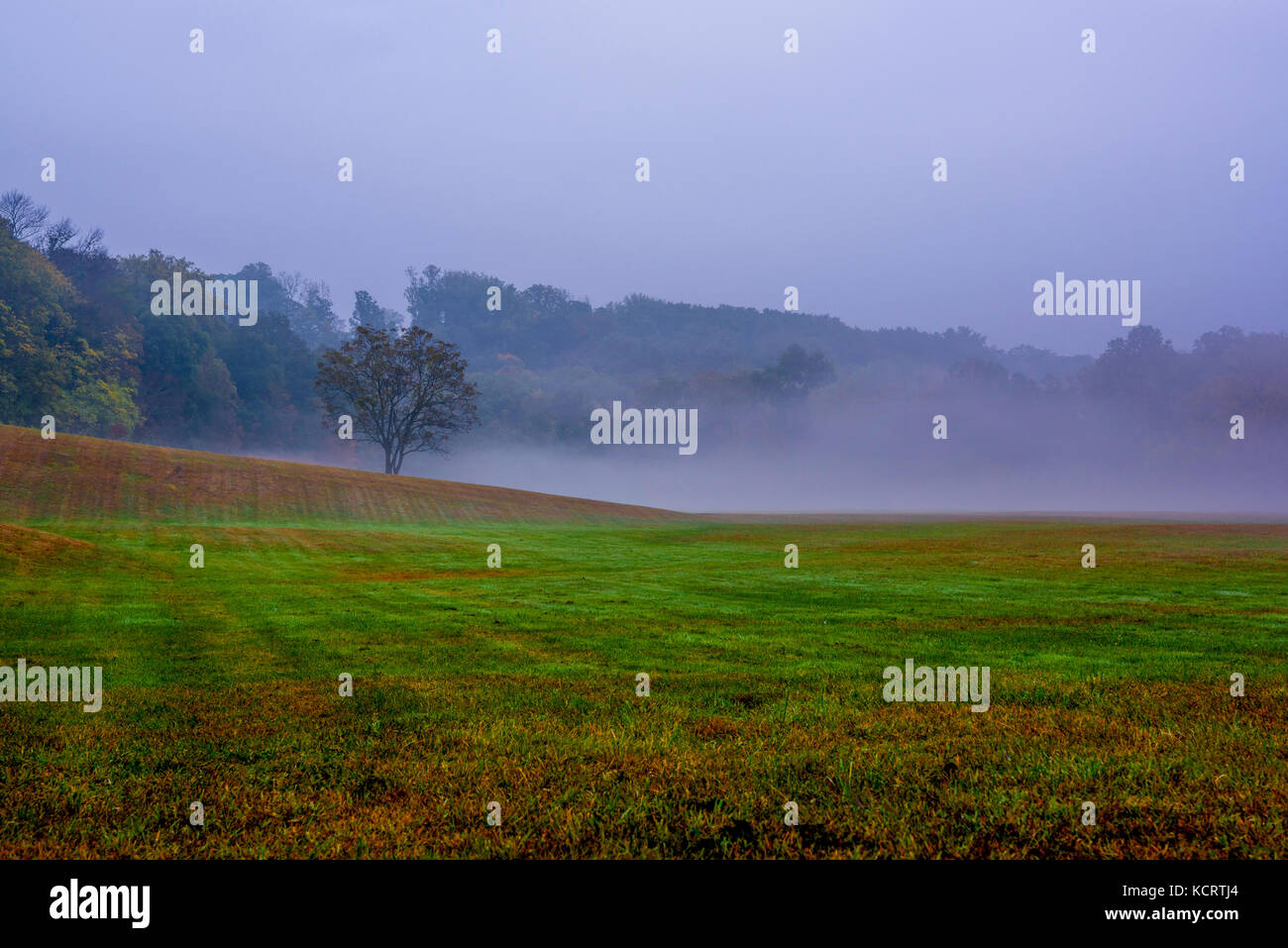 Romantico foschia mattutina in new jersey. bellissimo paesaggio autunnale Foto Stock