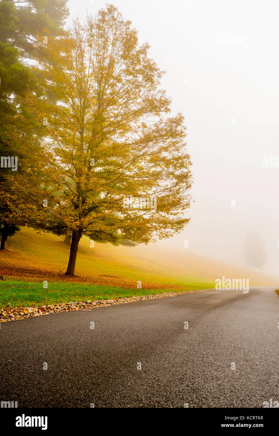 Incantevole paesaggio autunnale con la nebbia sullo sfondo Foto Stock