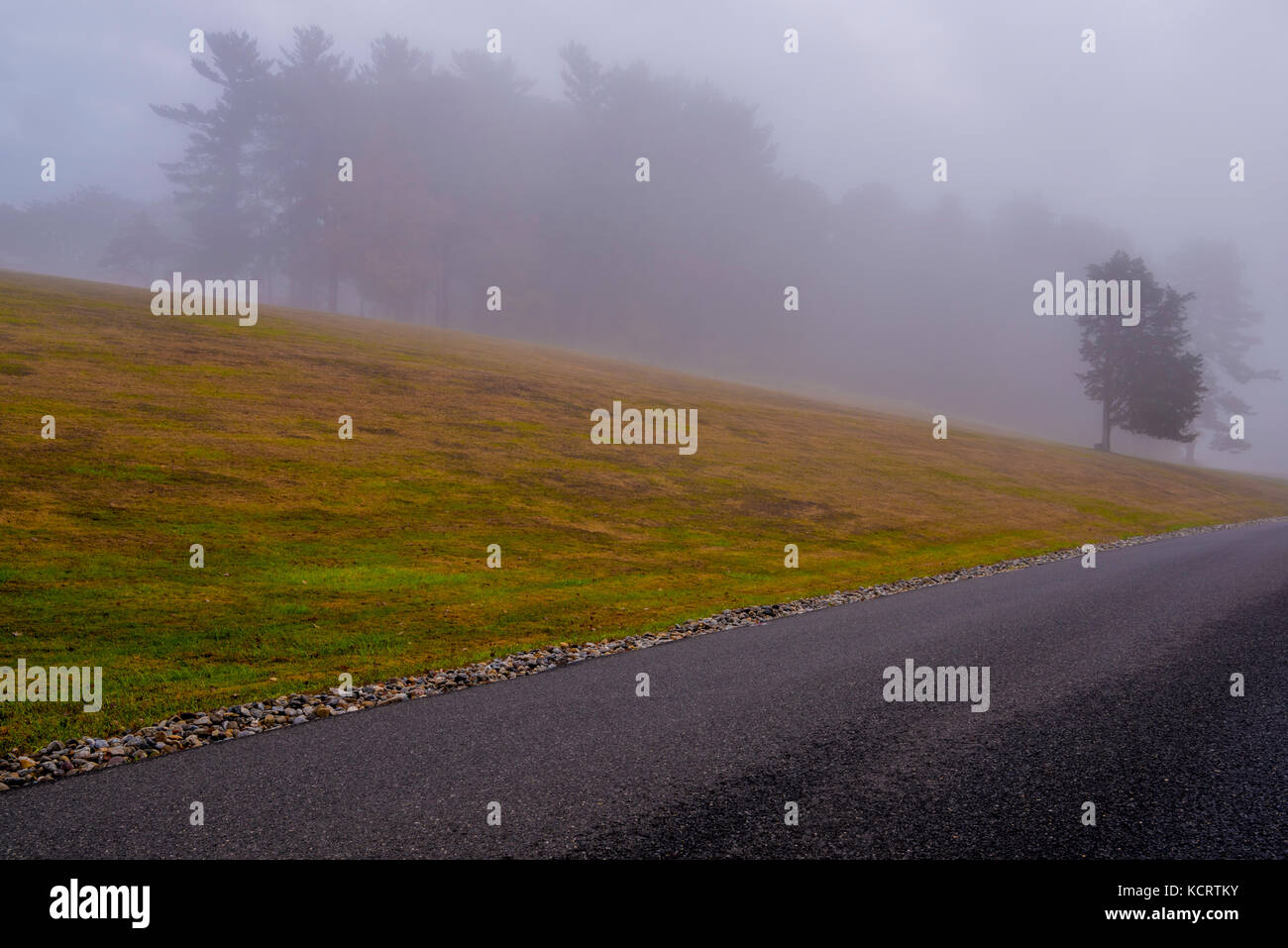 Mistica mattinata nebbiosa di Gladstone, new jersey. bellissimo paesaggio autunnale Foto Stock