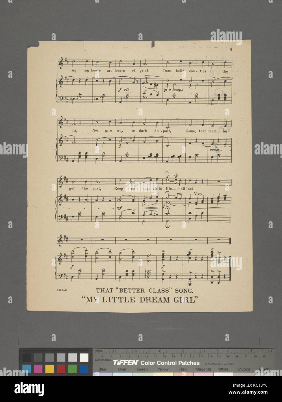 Castelli in aria (NYPL ADE 609412 1822382) Foto Stock