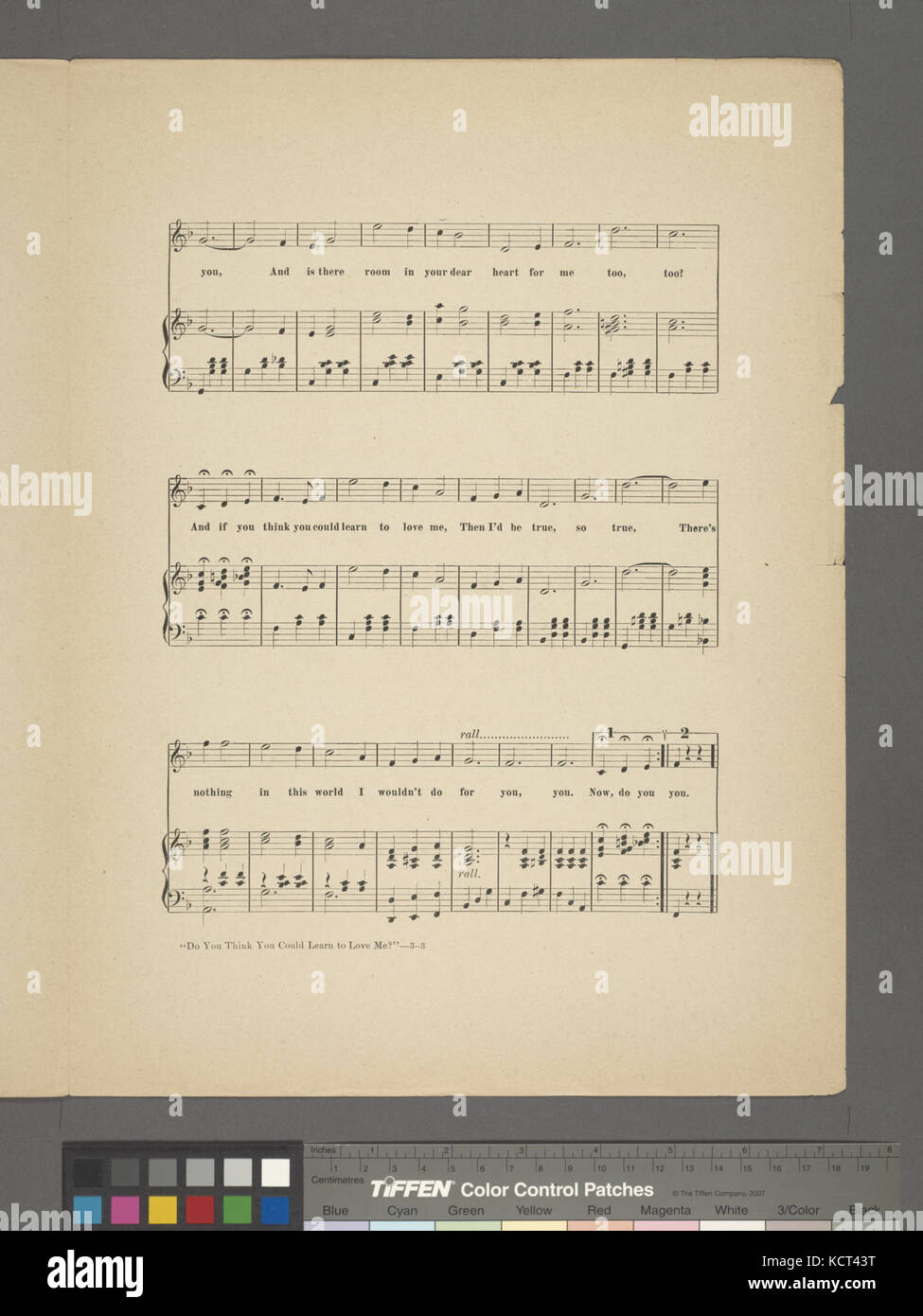 Pensate di poter imparare ad amare me (NYPL ADE 609445 1822601) Foto Stock