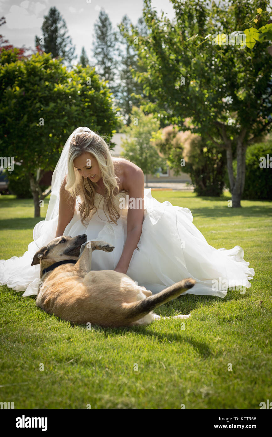 Sposa giocando con il cane nel parco in una giornata di sole Foto Stock