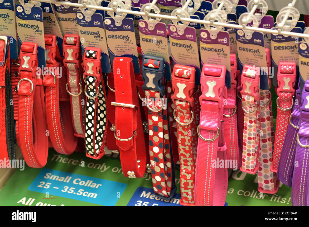 Vivacemente colorato cane collari per la vendita in un grande supermercato di pet o rivenditore per passeggiate con il cane al guinzaglio e mantenendo i cani sotto controllo, colorato. Foto Stock