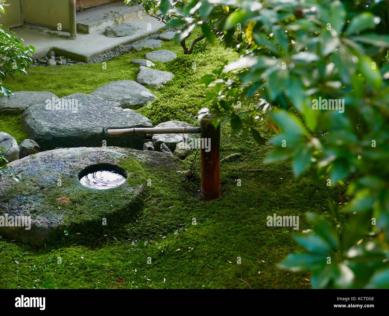 Stone acqua trogoli in giardino giapponese Foto Stock