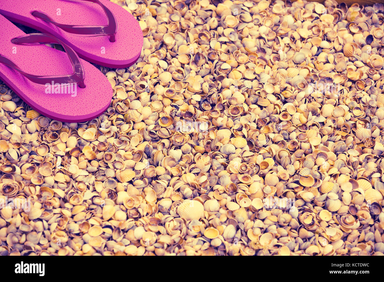 Beach Scene.flip flop sandals giacente sul mare coquina gusci Foto Stock
