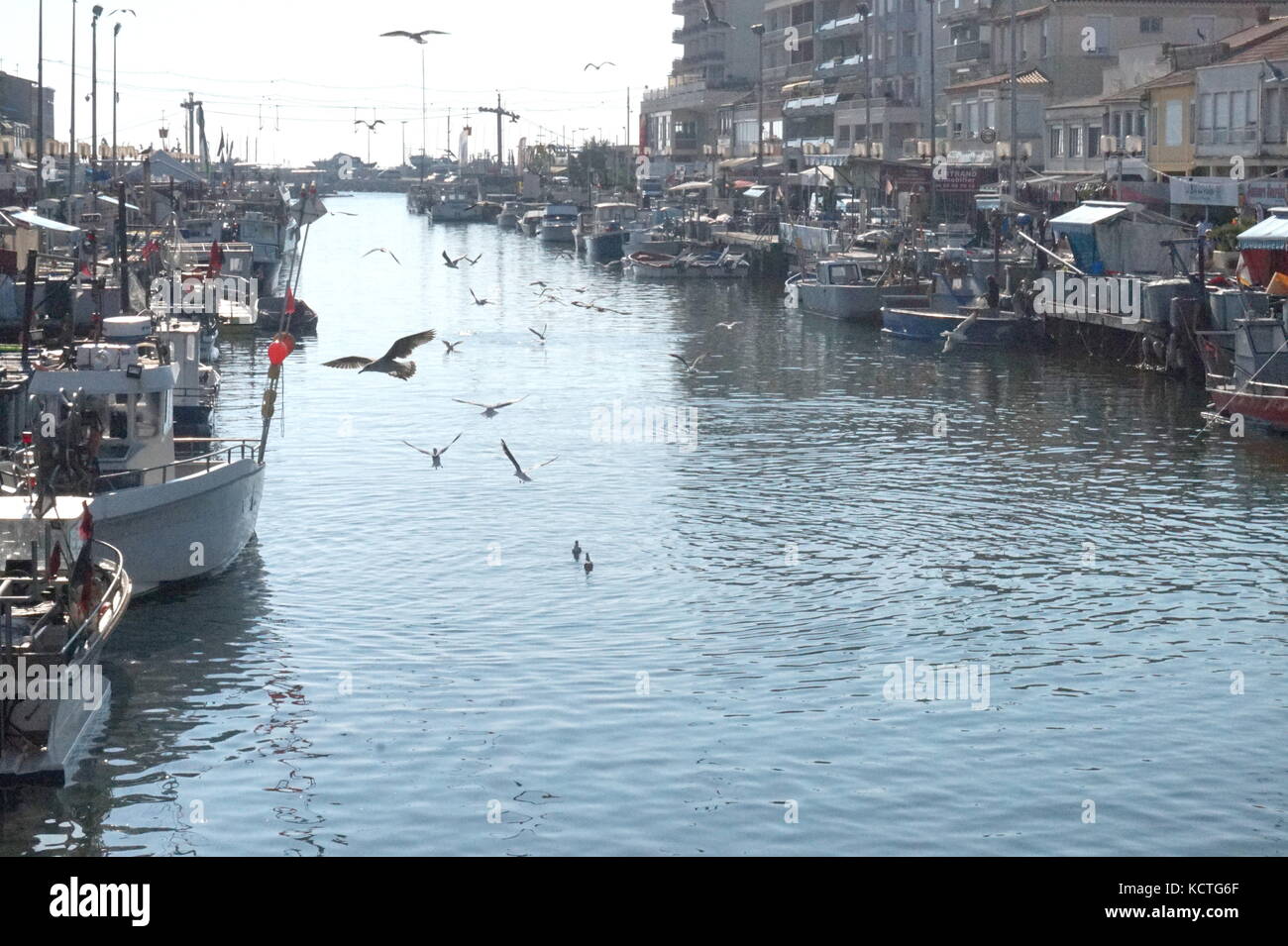 Barche da pesca ormeggiate lungo il canale a Palavas-Les-Flots, Hérault, Francia Foto Stock