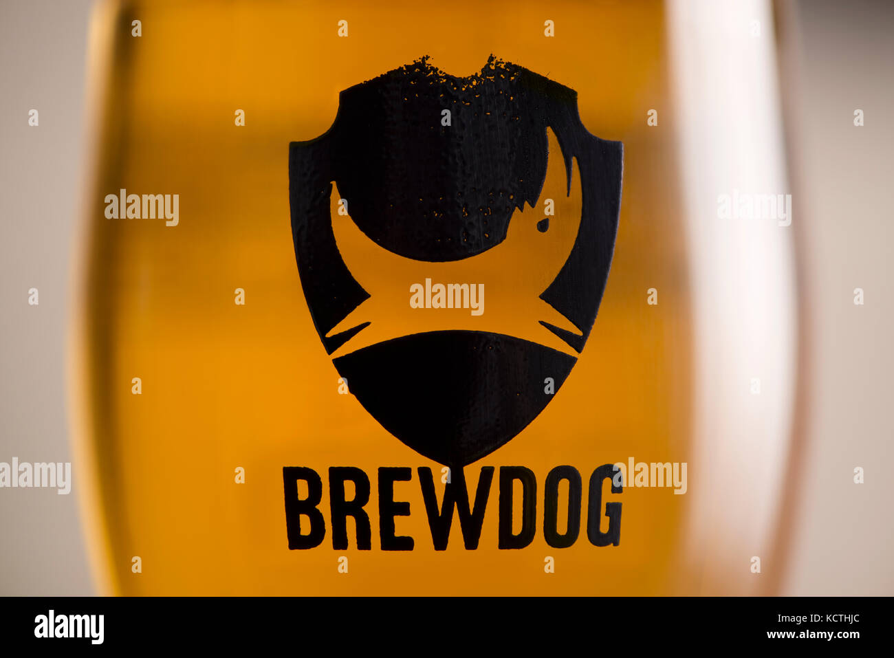 Un close-up di un marchio vetro BrewDog con il logo della società, riempita di birra (solo uso editoriale). Foto Stock