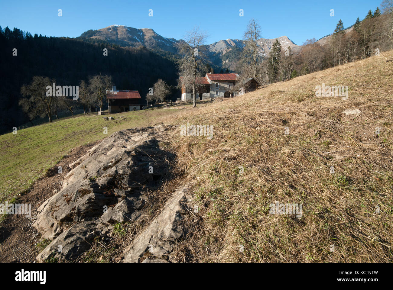 Fattoria le CRET, Samoens, Alpi francesi, Francia Foto Stock