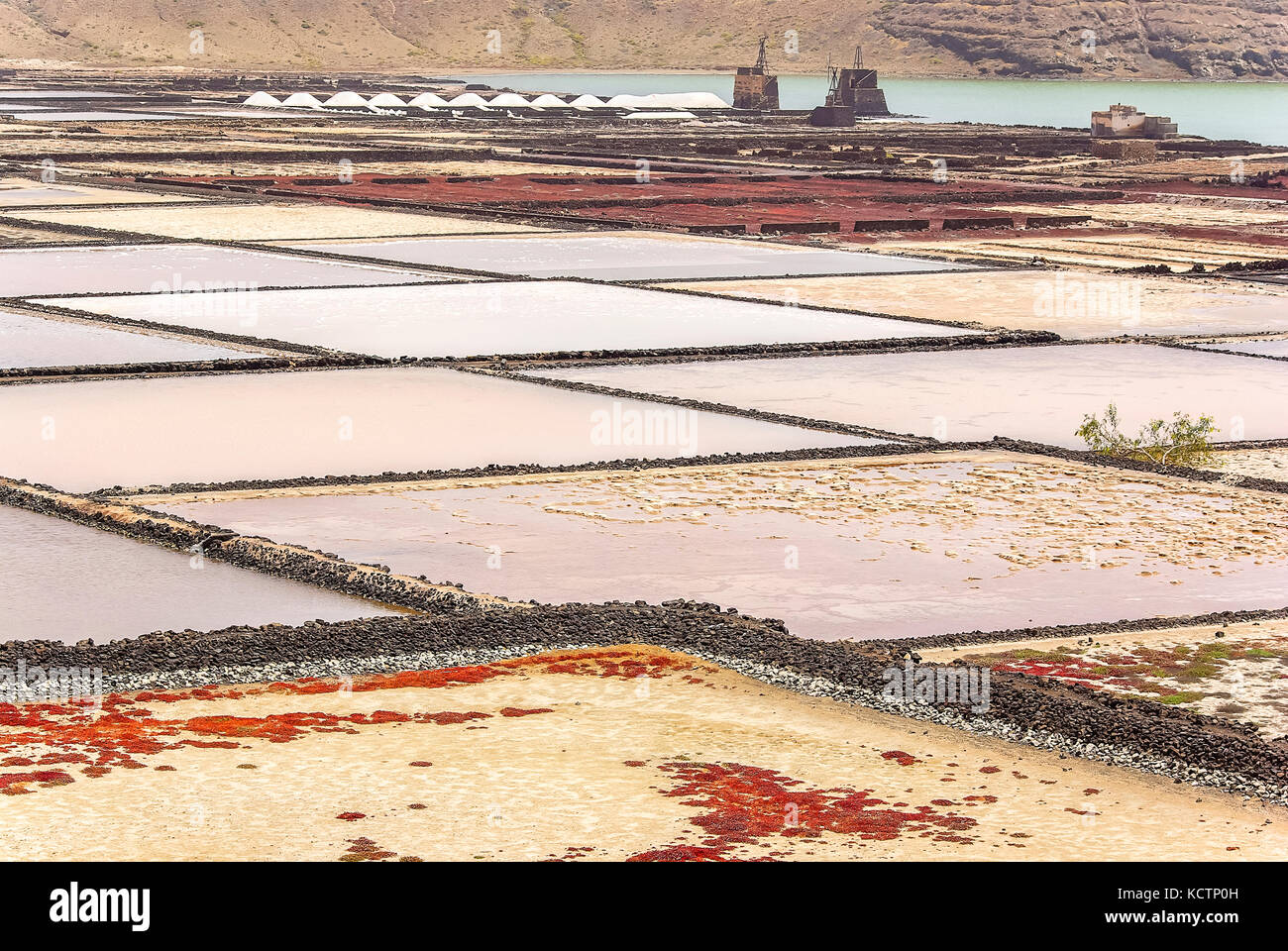 Il sale-raffineria di janubio (Salinas de janubio) a Lanzarote, Isole canarie, Spagna. Foto Stock