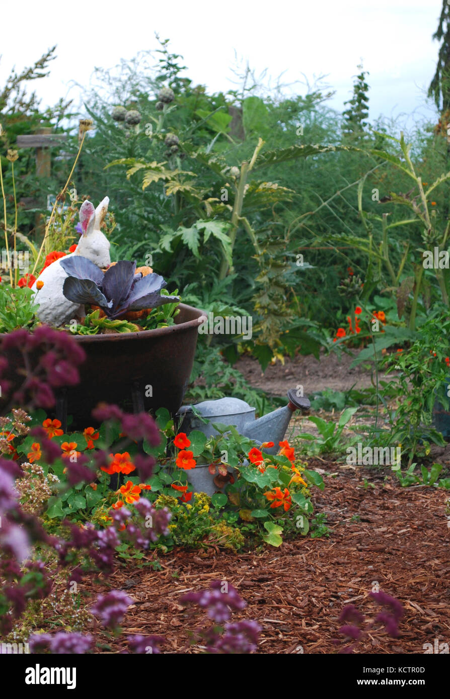 Il giardino dei bimbi - Skagit Valley, nello Stato di Washington, USA Foto Stock