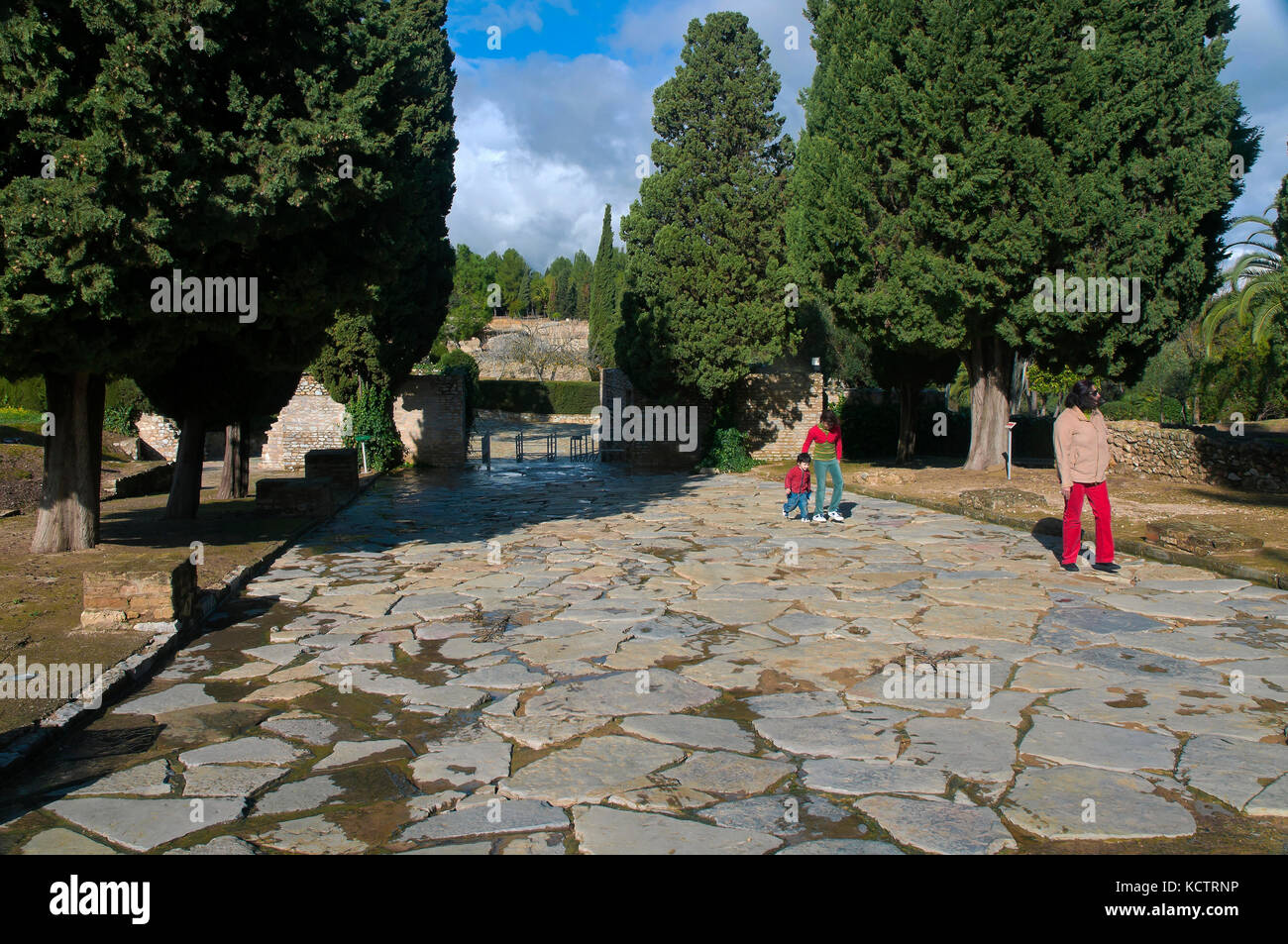 Le rovine romane di italica - cardo maximus, santiponce, Siviglia e provincia, regione dell'Andalusia, Spagna, Europa Foto Stock