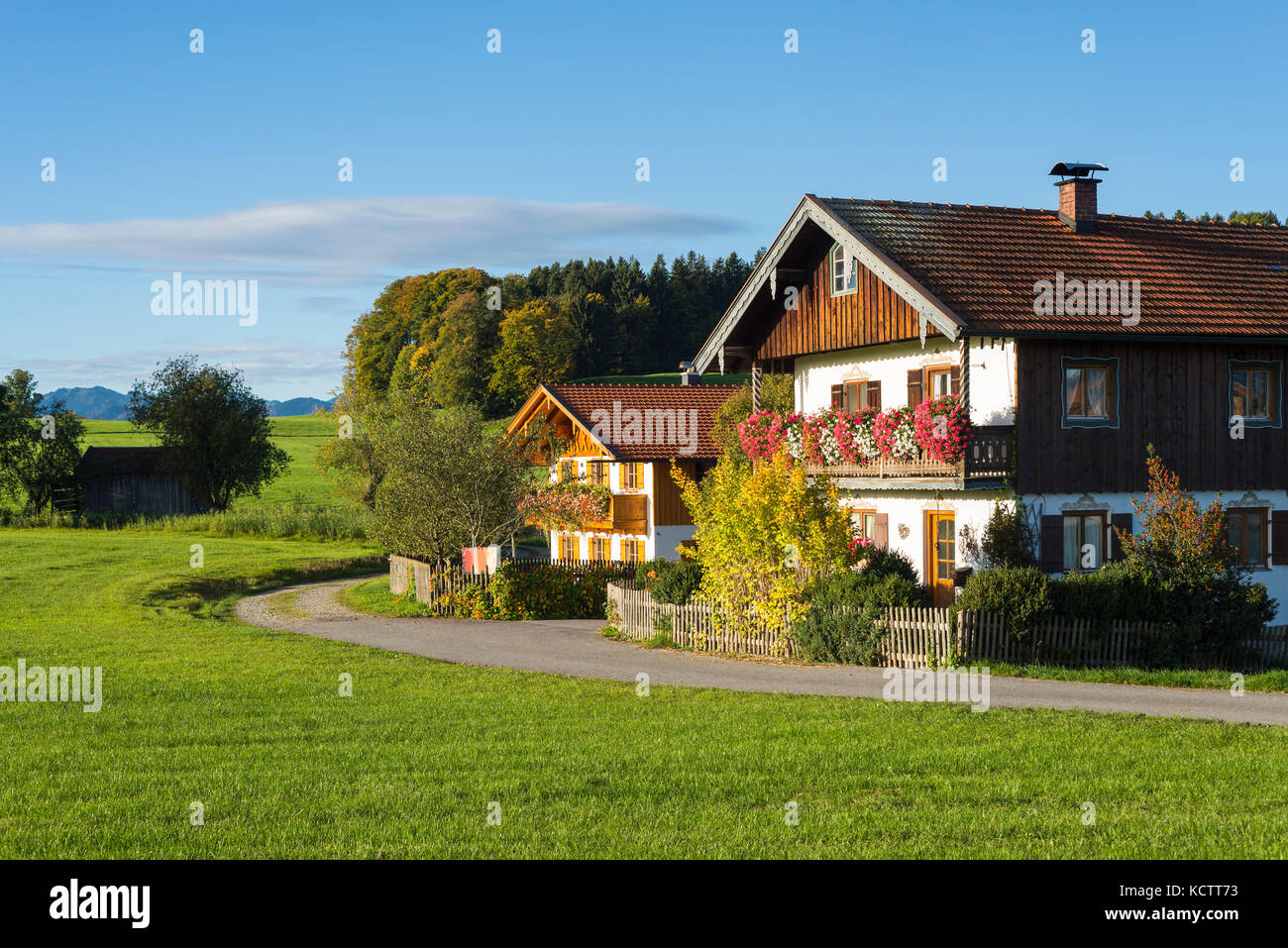 Case coloniche con facciata in legno nel tradizionale stile bavarese in Baviera con fiori che sbocciano nel sole del mattino, irschenberg, Baviera, Germania Foto Stock