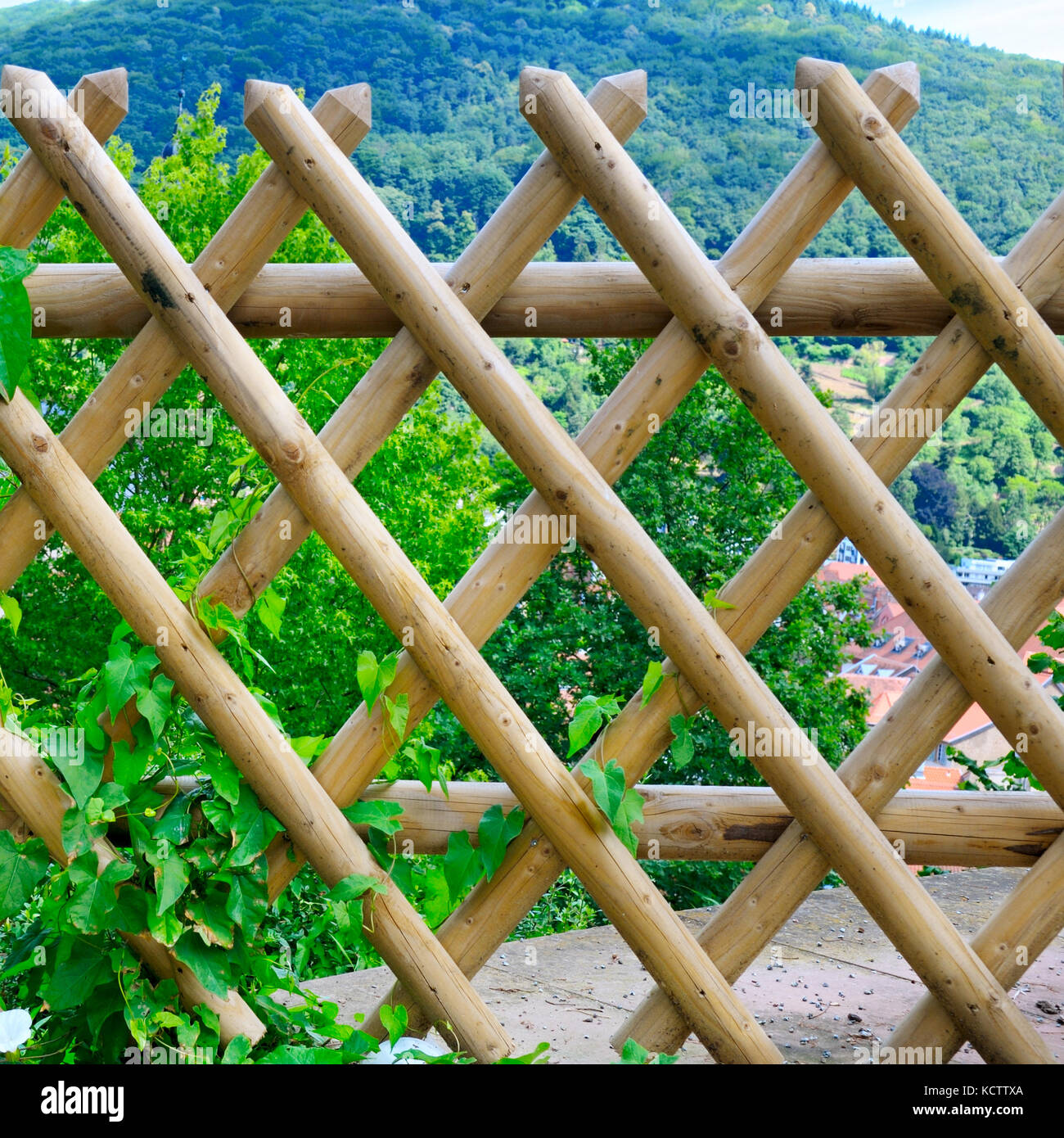 A doghe in legno scherma Foto Stock