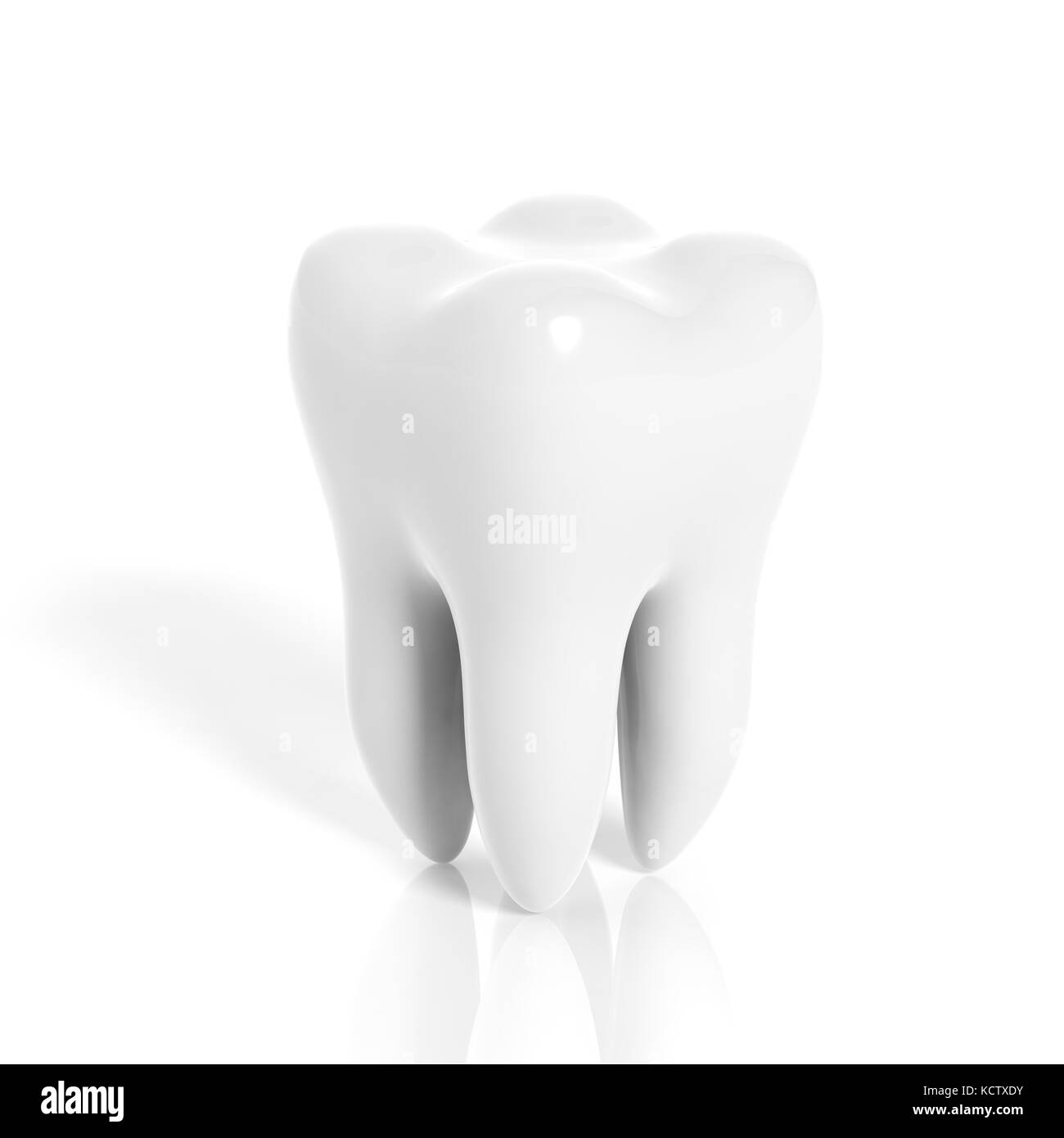 Dente molare isolato su sfondo bianco Foto Stock