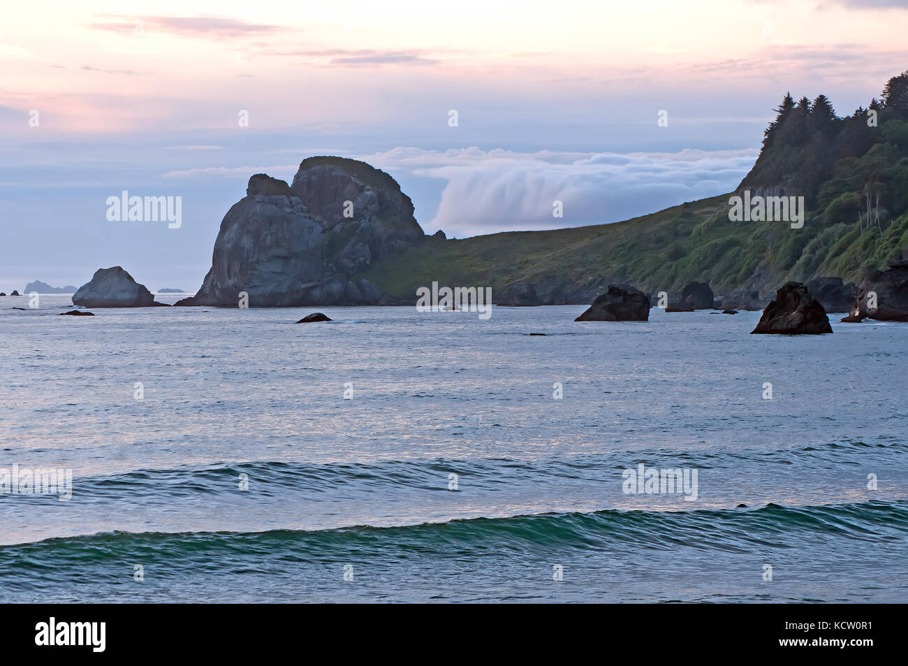 Pacifico costa rocciosa, Oregon, Stati Uniti d'America Foto Stock