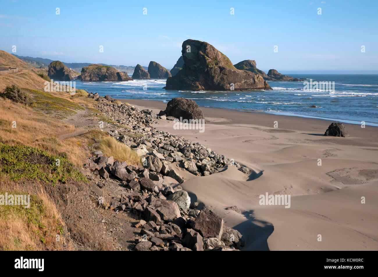 Pacifico costa rocciosa, Oregon, Stati Uniti d'America Foto Stock