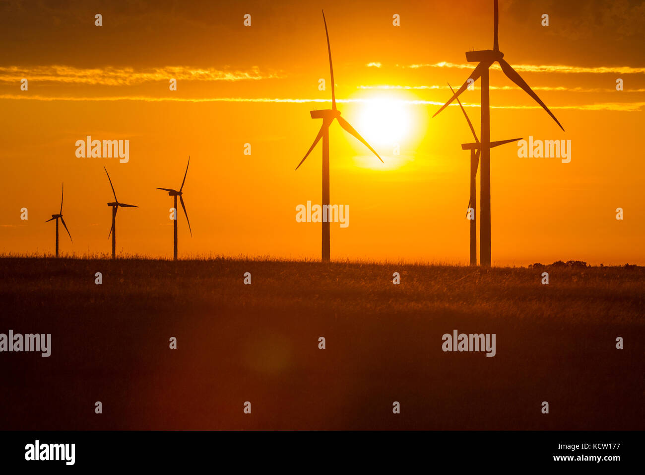 Le turbine eoliche silhouetteat al tramonto. Stettler, Alberta, Canada Foto Stock