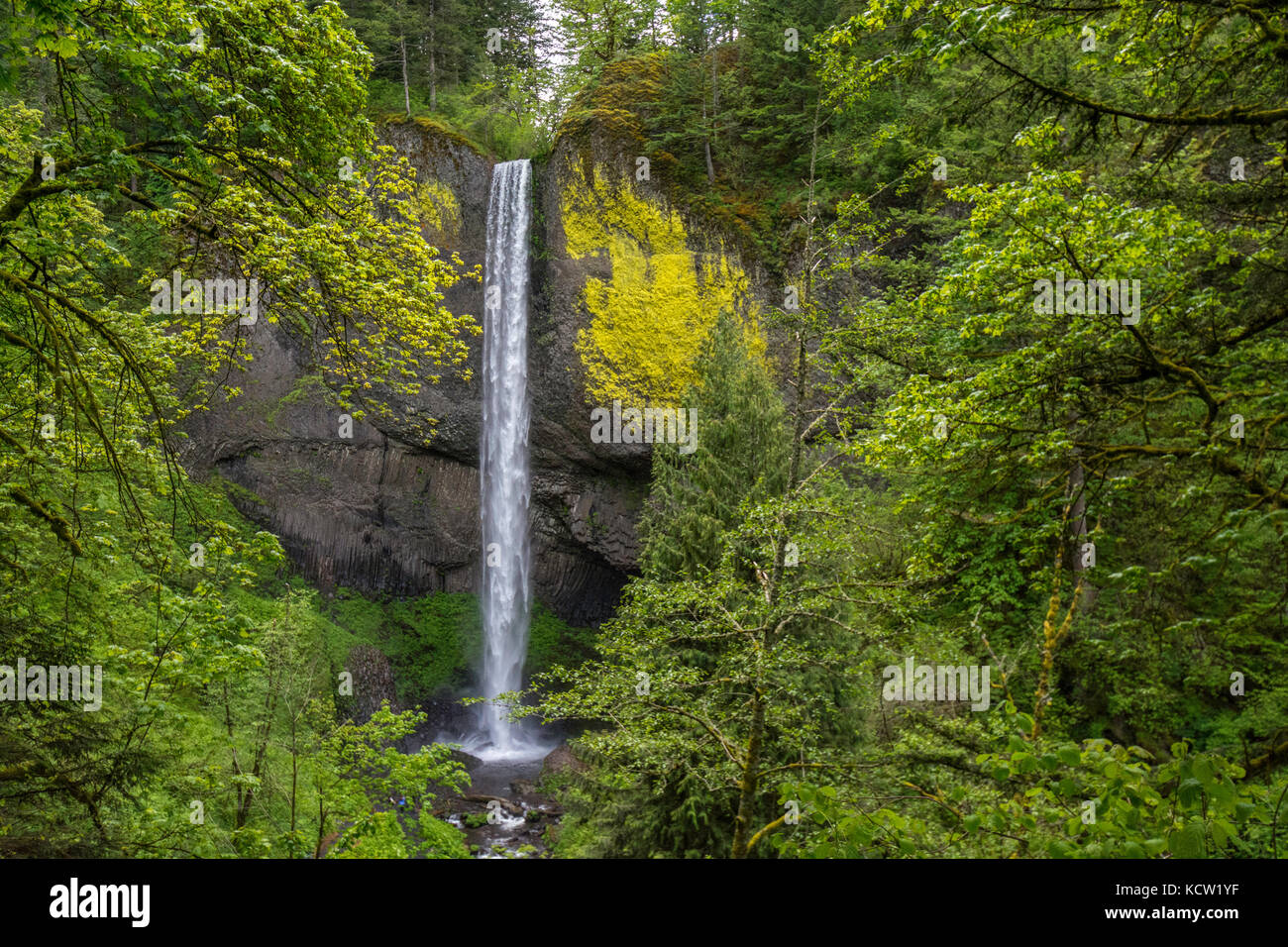 Le cascate Latourell Falls sono una cascata lungo la gola del fiume Columbia in Oregon, all'interno del Guy W. Talbot state Park. La storica Columbia River Highway passa nelle vicinanze e in alcuni luoghi le cascate inferiori sono visibili dalla strada. Foto Stock
