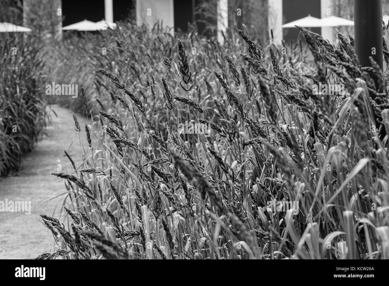 Un giorno al Norfolk Botanical gardens Foto Stock