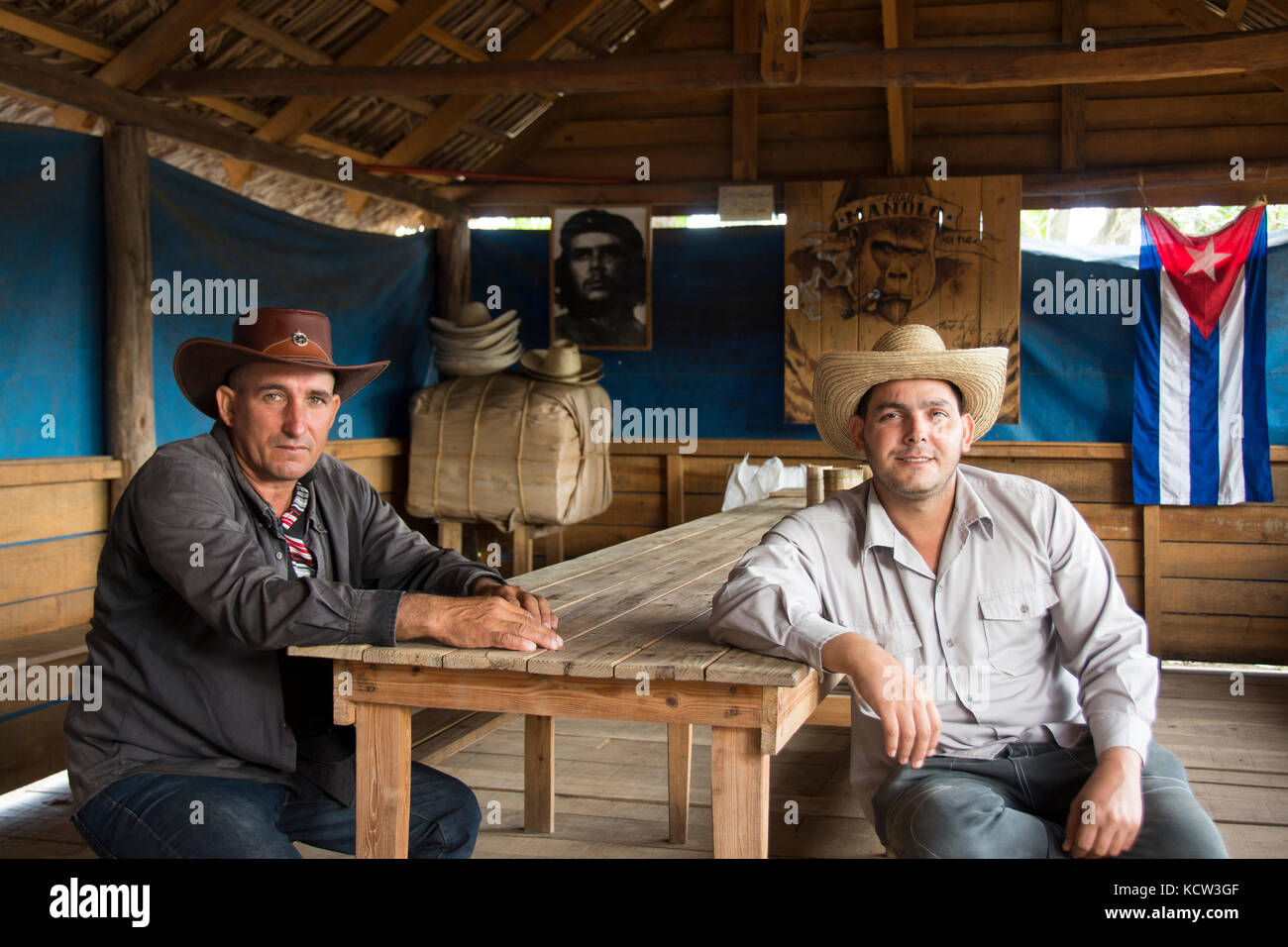 Tour a cavallo di guide a campi di tabacco, Vinales, Cuba Foto Stock