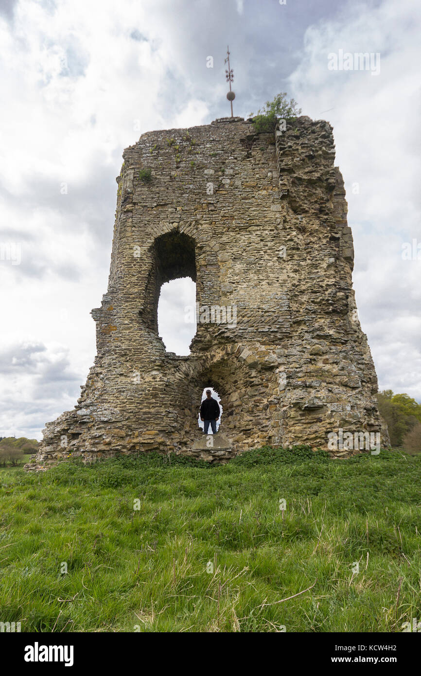 Knepp castello rimane a Shipley off la 264 by pass a Worthing. Costruito nel 1125 da Robert de Harcourt le Fort (forte) come un castello difensivo. Foto Stock