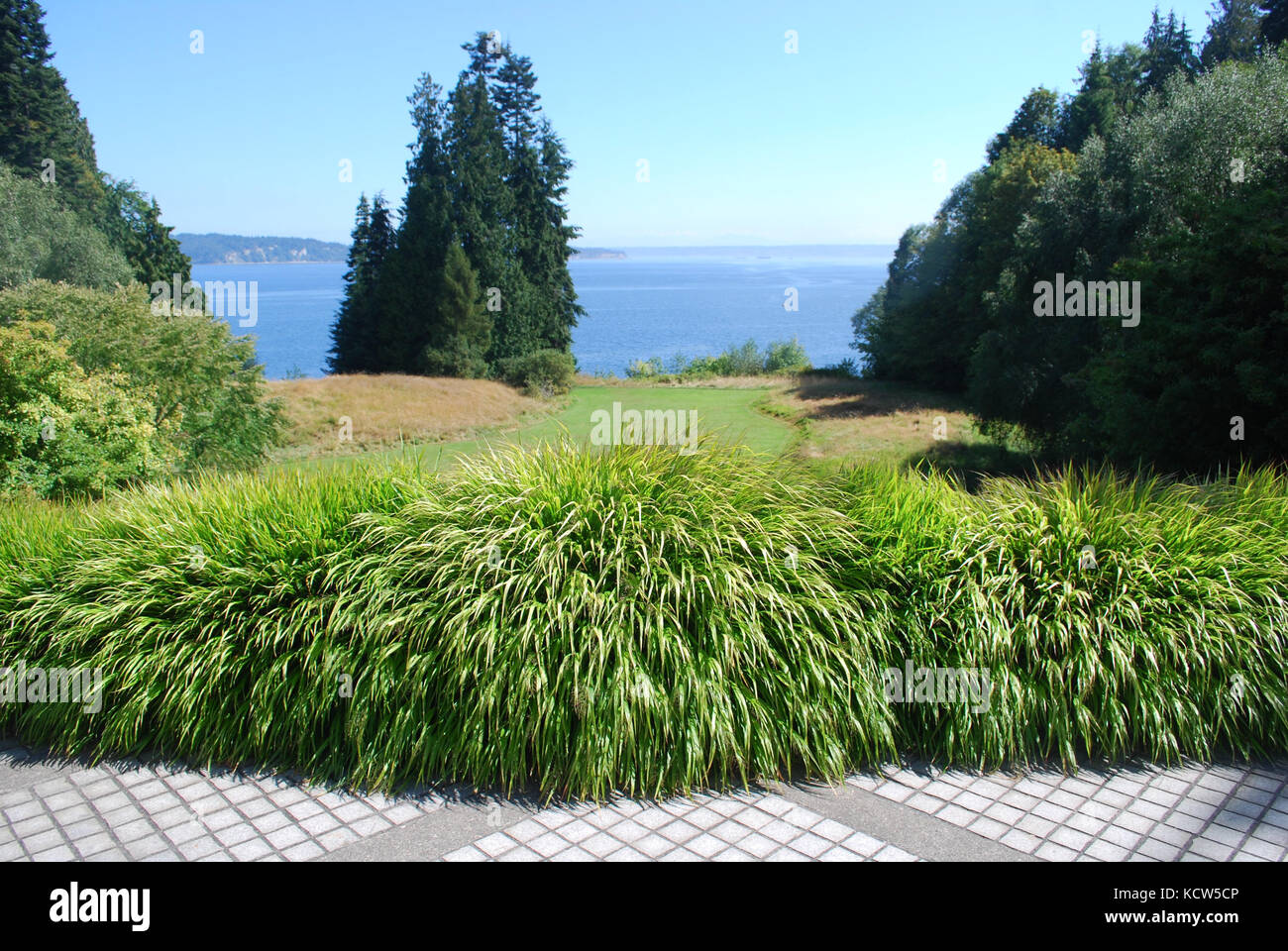 Bloedel Riserva - Bainbridge Island, Stati Uniti di Washington Foto Stock