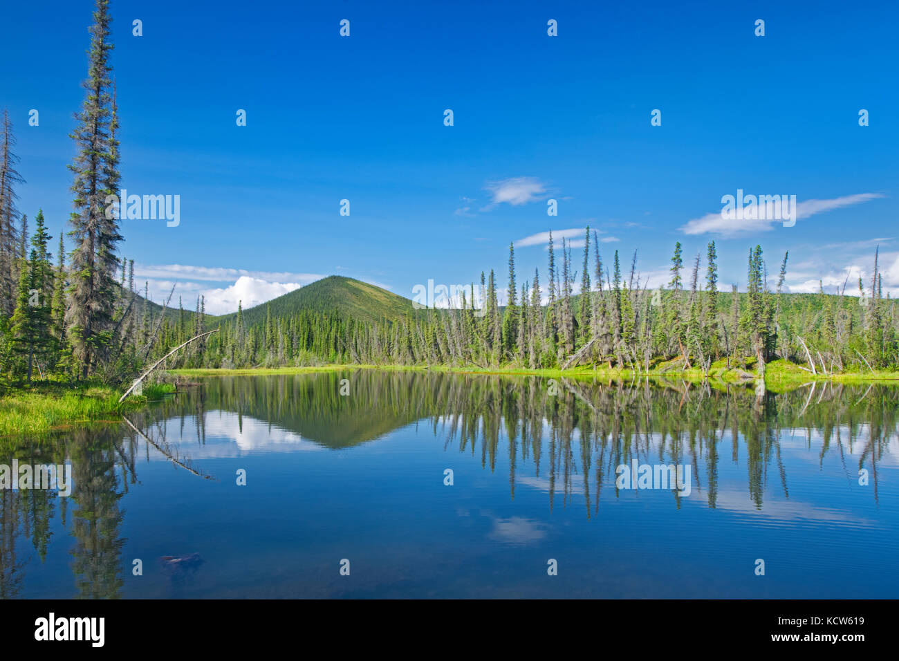 Lungo un fiume, dempster highway, Yukon, Canada Foto Stock