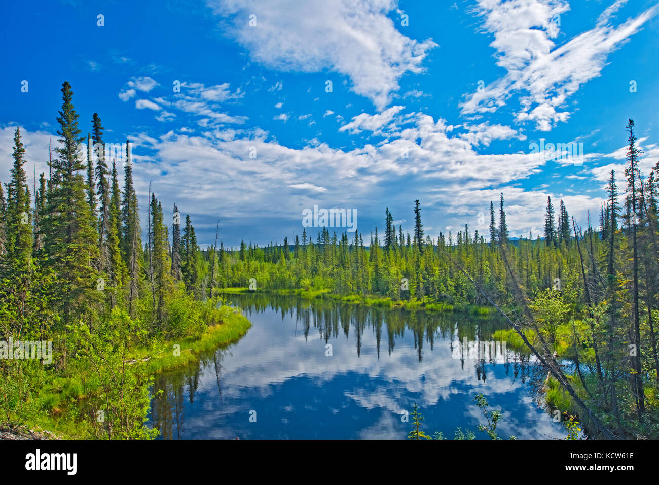 Lungo un fiume, dempster highway, Yukon, Canada Foto Stock