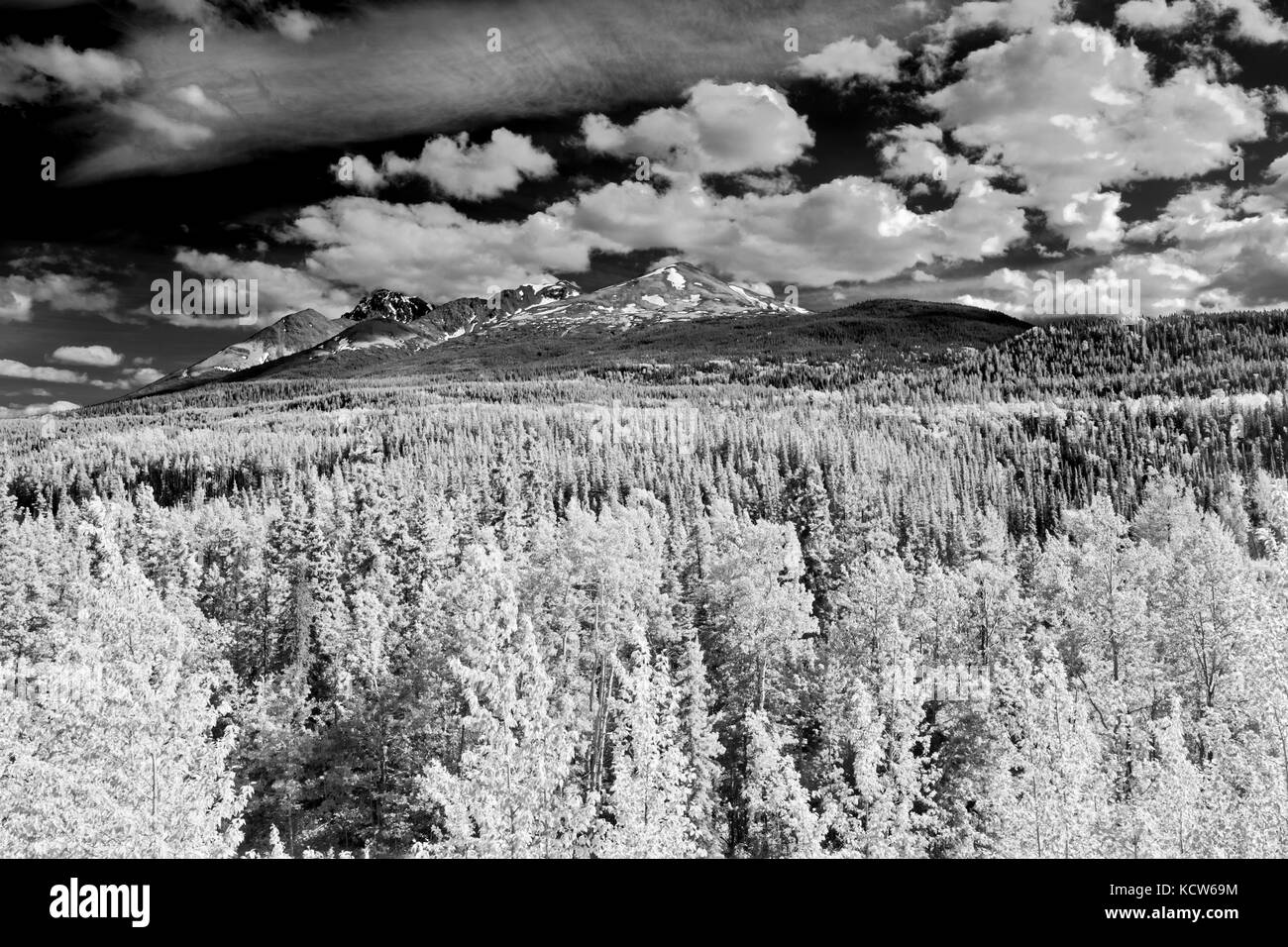Le nuvole e la foresta, stewart cassiar highway, buona speranza, British Columbia, Canada Foto Stock