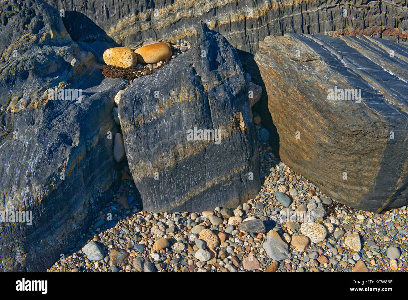 Rocce lungo il litorale dell'Oceano Atlantico, blu rocce, Nova Scotia, Canada Foto Stock