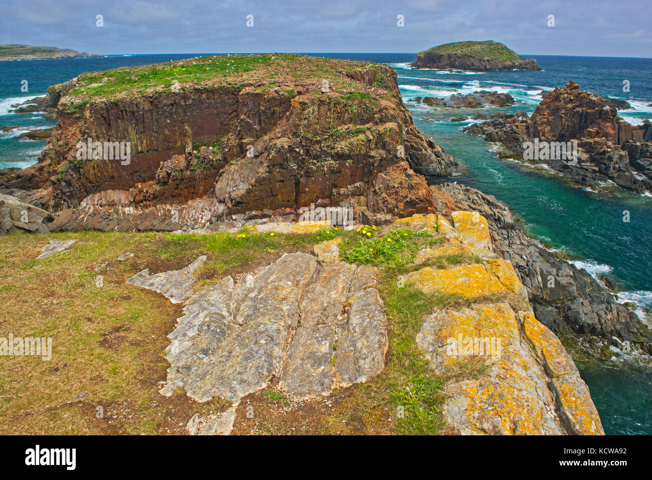 Scogliere lungo la costa rocciosa dell'Oceano Atlantico, elliston, Terranova e Labrador, Canada Foto Stock