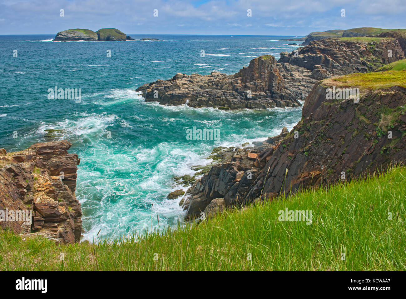 Scogliere rocciose lungo l'Oceano Atlantico, elliston, Terranova e Labrador, Canada Foto Stock