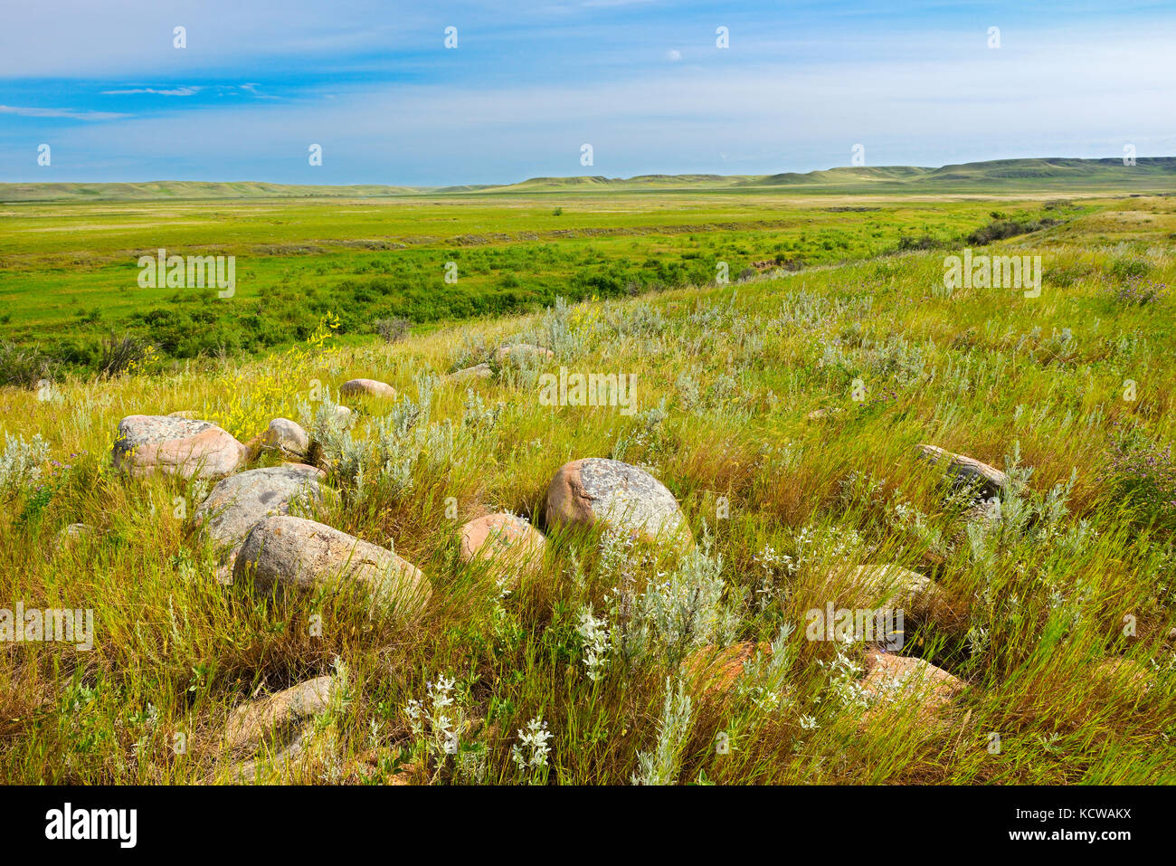 Praterie e pascoli del parco nazionale, Saskatchewan, Canada Foto Stock