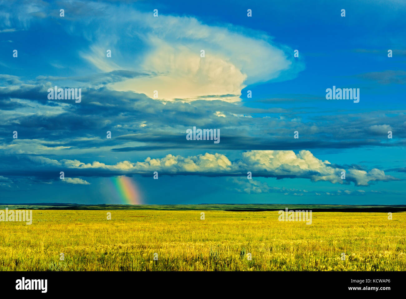 Rainbow e tempestoso cielo sopra praterie, pascoli del parco nazionale, Saskatchewan, Canada Foto Stock