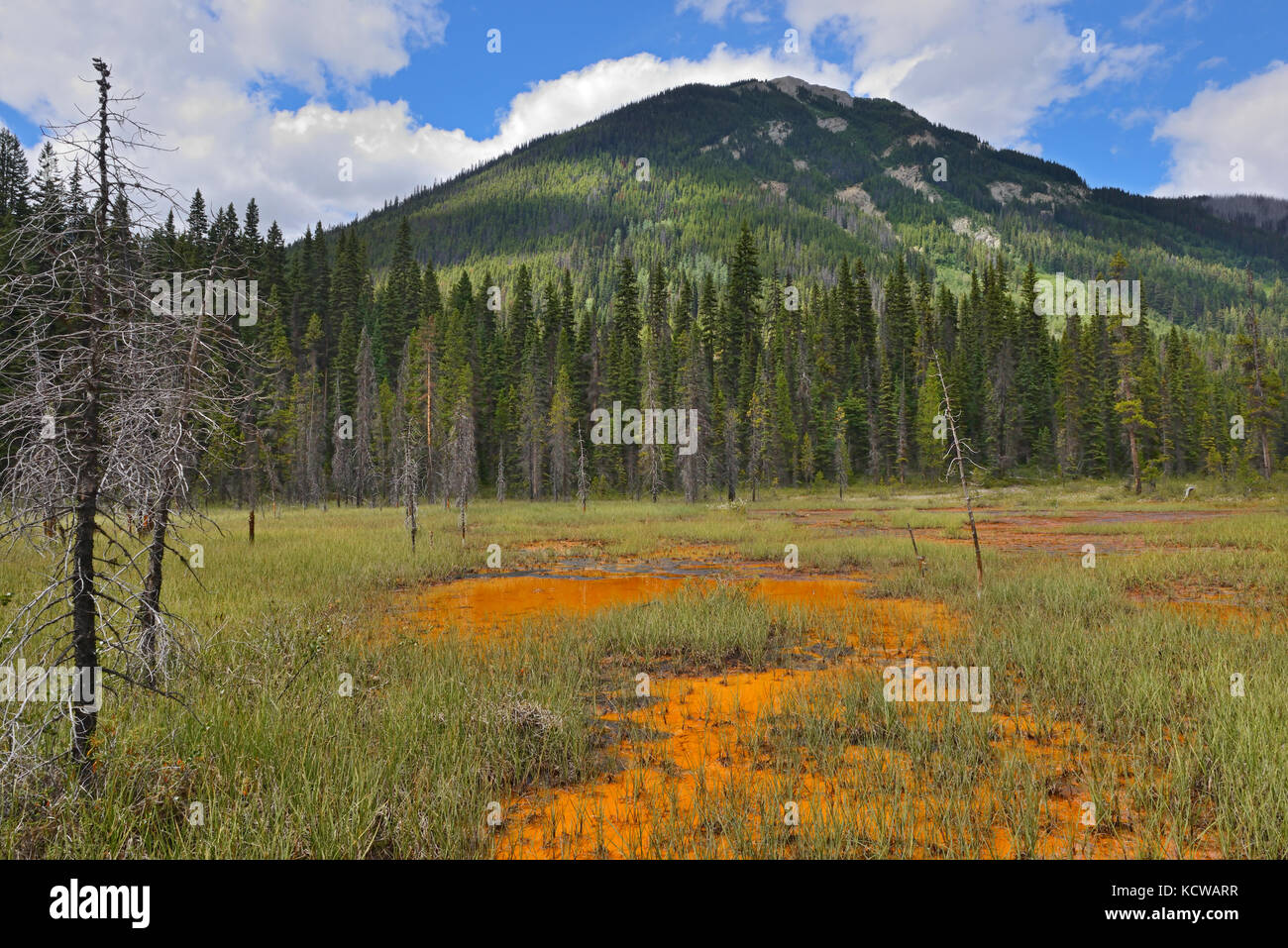 Paint Pots. Ferro-freddo ricco di sorgenti minerali. nelle montagne rocciose canadesi, kootenay national park, British Columbia, Canada Foto Stock