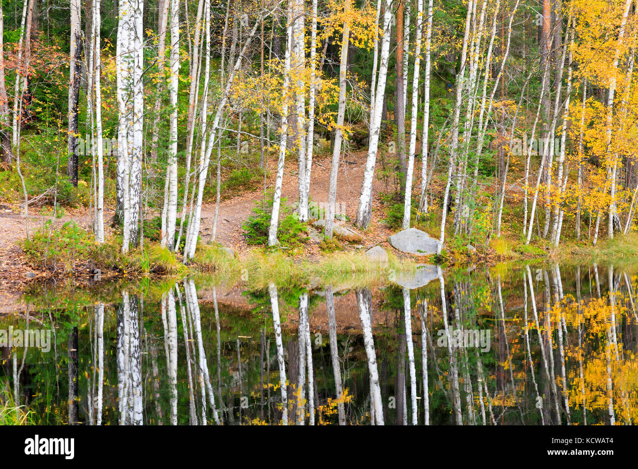Foresta di autunno pieno di colori alla riva del lago Foto Stock