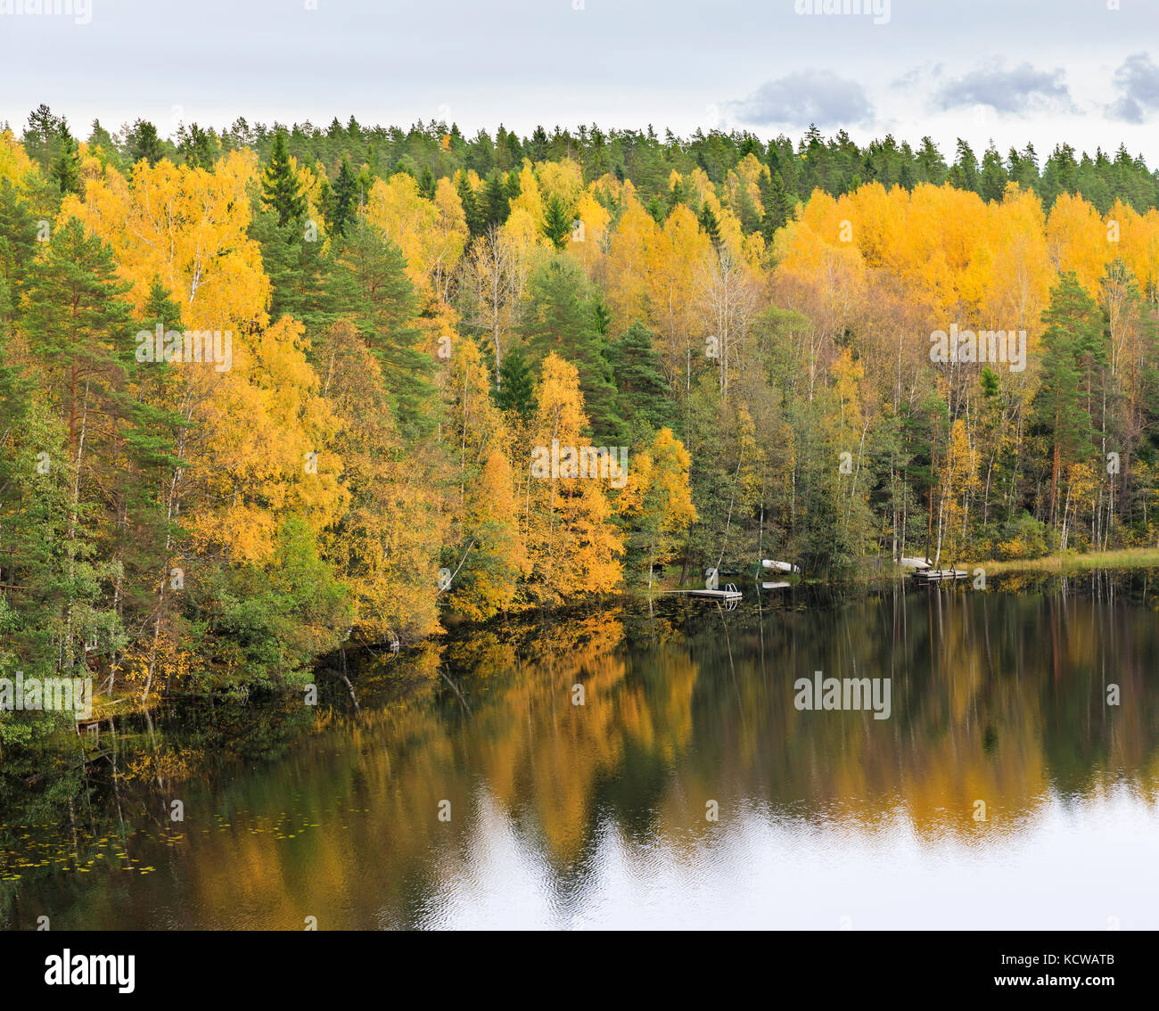 Foresta di autunno pieno di colori alla riva del lago Foto Stock