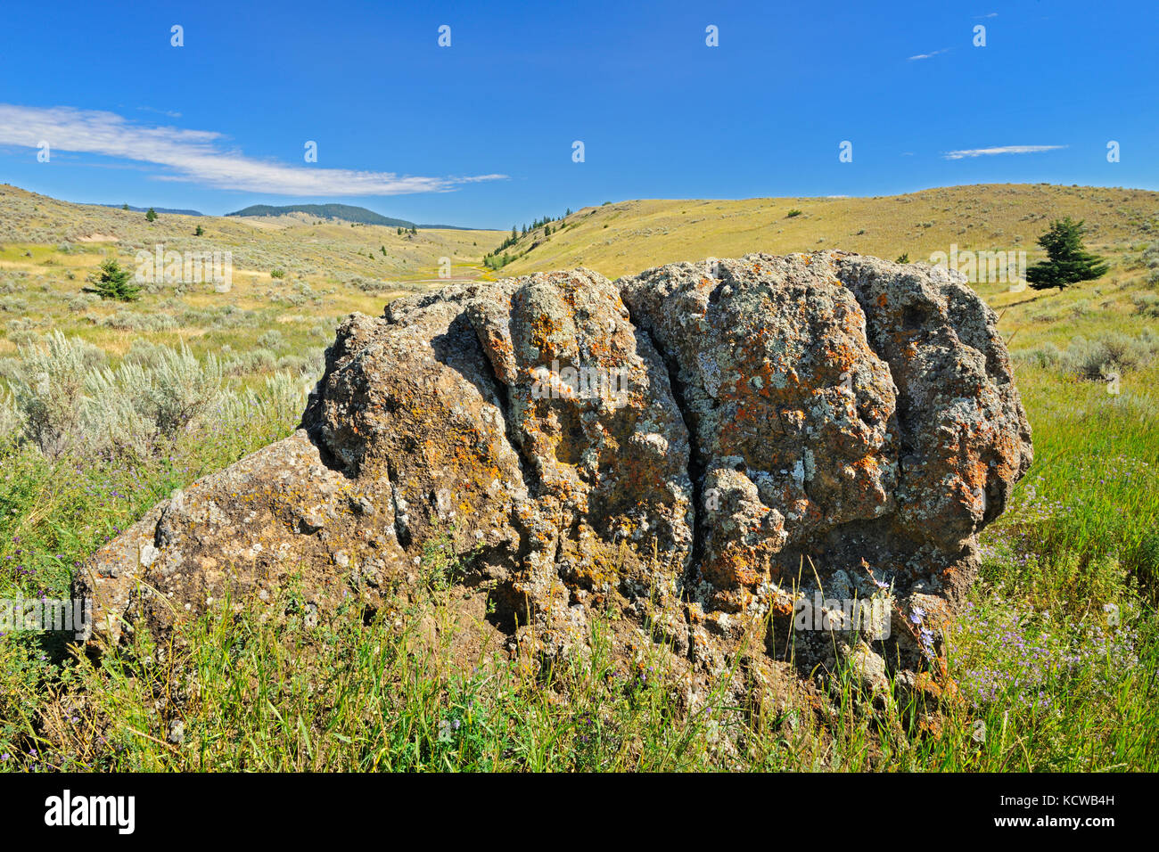 Rock in praterie. thompson valley, Kamloops, British Columbia, Canada Foto Stock