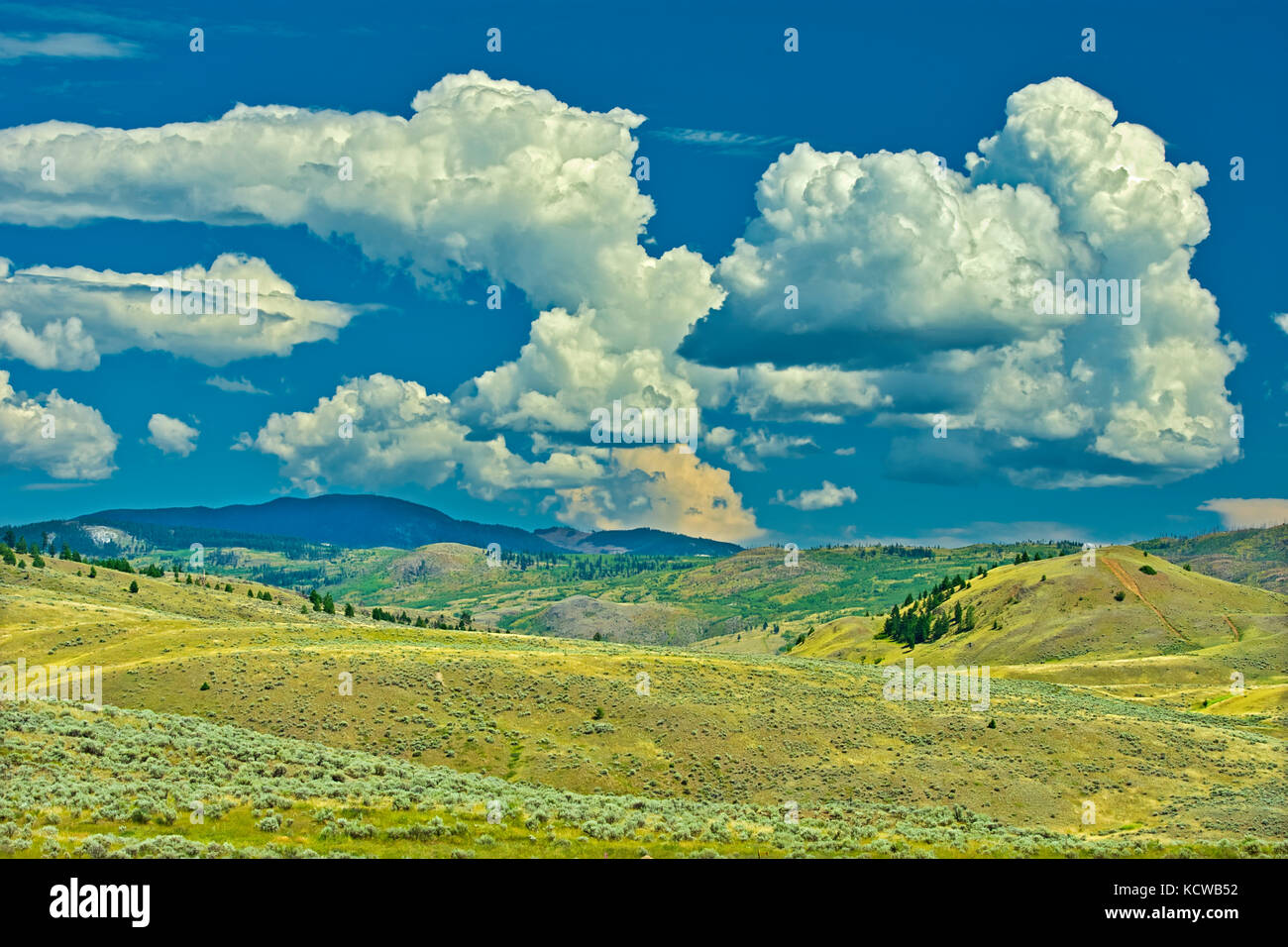 Nuvole e praterie. thompson valley, Kamloops, British Columbia, Canada Foto Stock